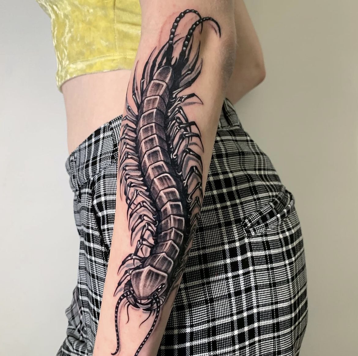 Centipede