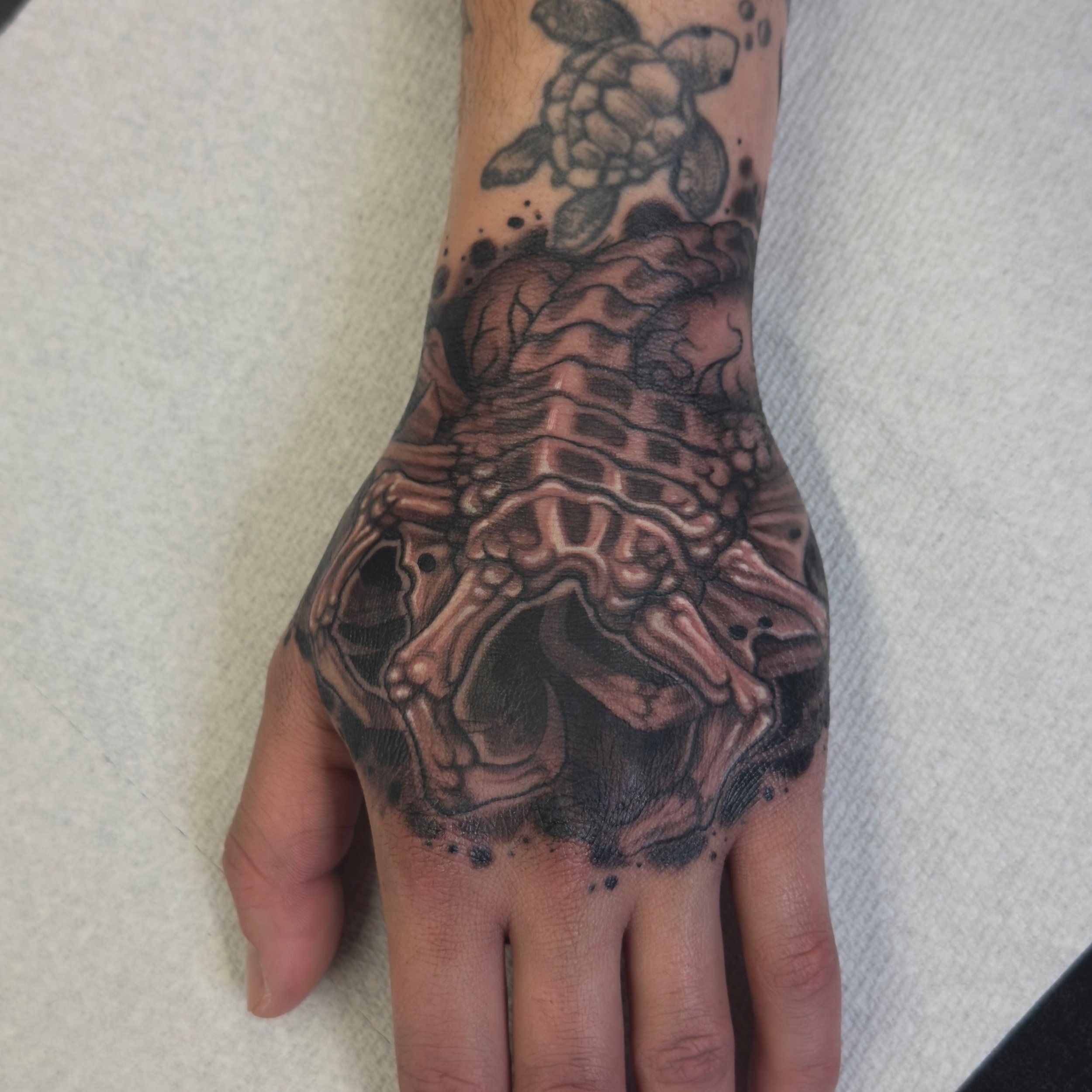 Facehugger