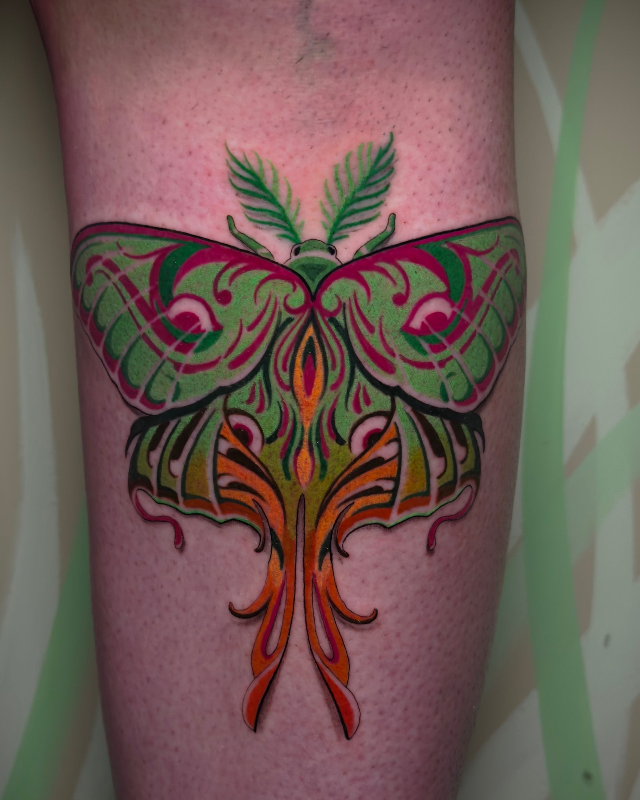 Luna Moth