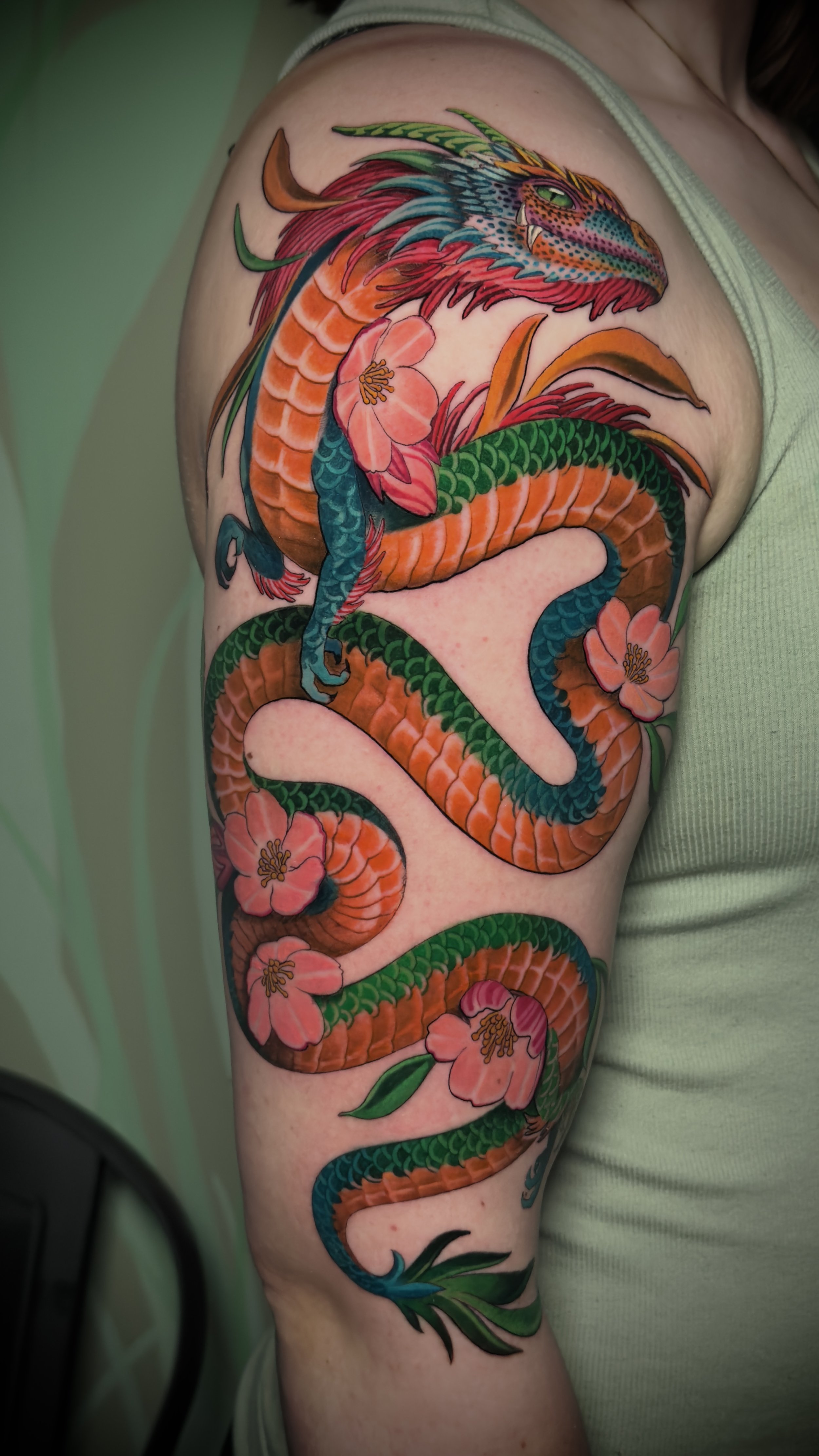 Rainbow Snake