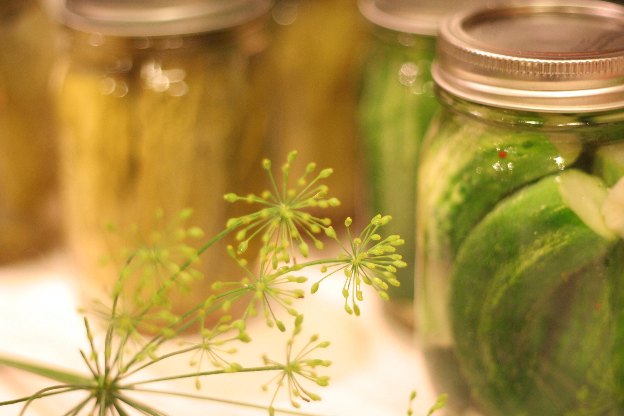 Fermentation Foundations