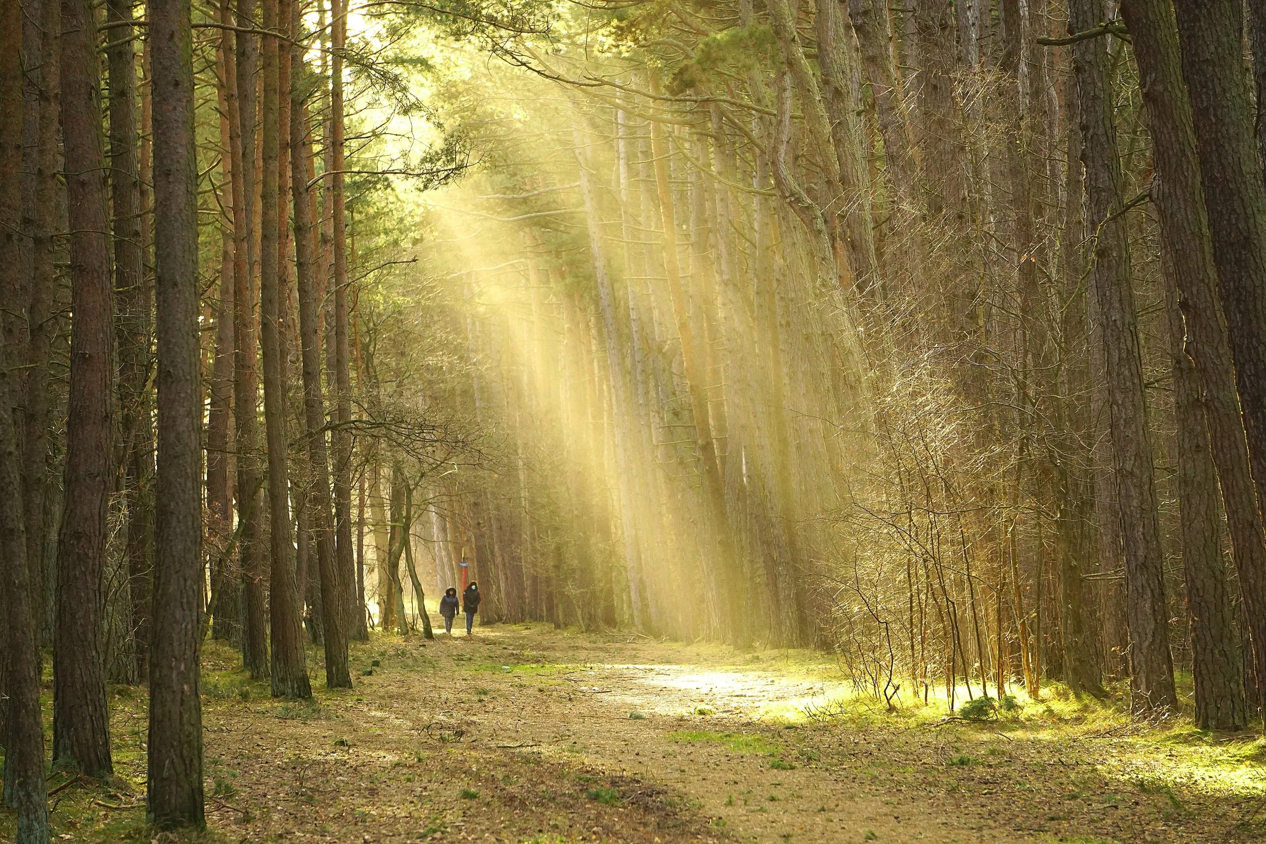 Healthy Lifestyles Through Nutrition, Mindfulness, and Connecting With the Soil