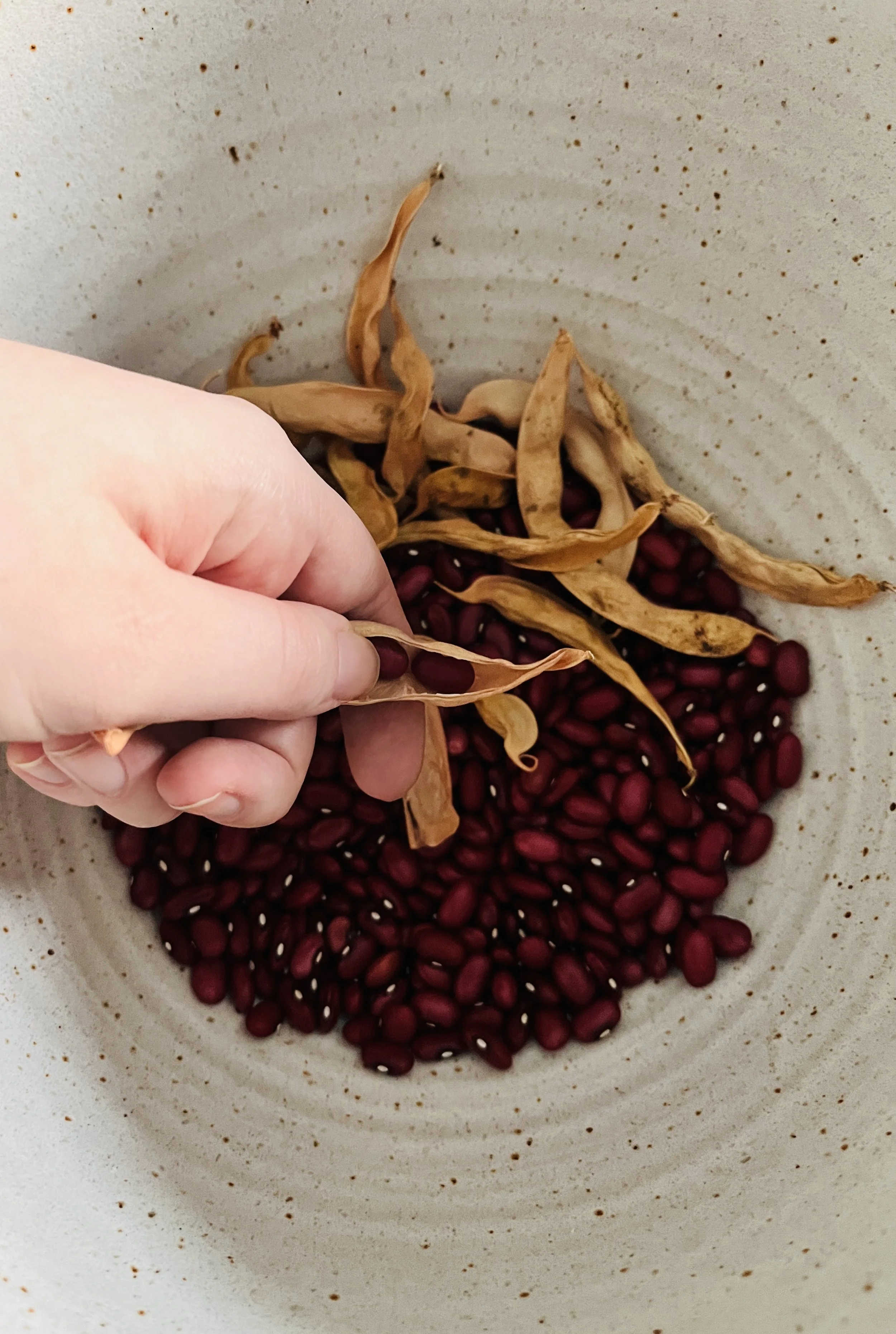 One Seed, One Community — Sustain DuPage