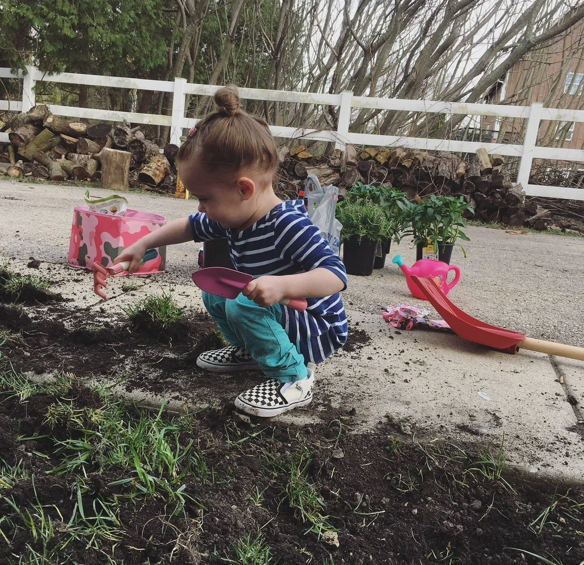 Toddler assists in digging up grass to make room for pollinator-friendly plants. She is using all pink gardening equipment and making quite the mess.