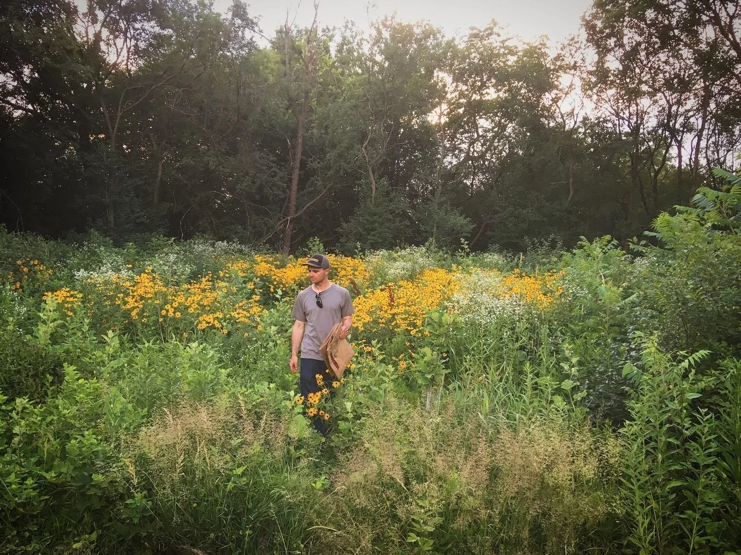 Rewilding