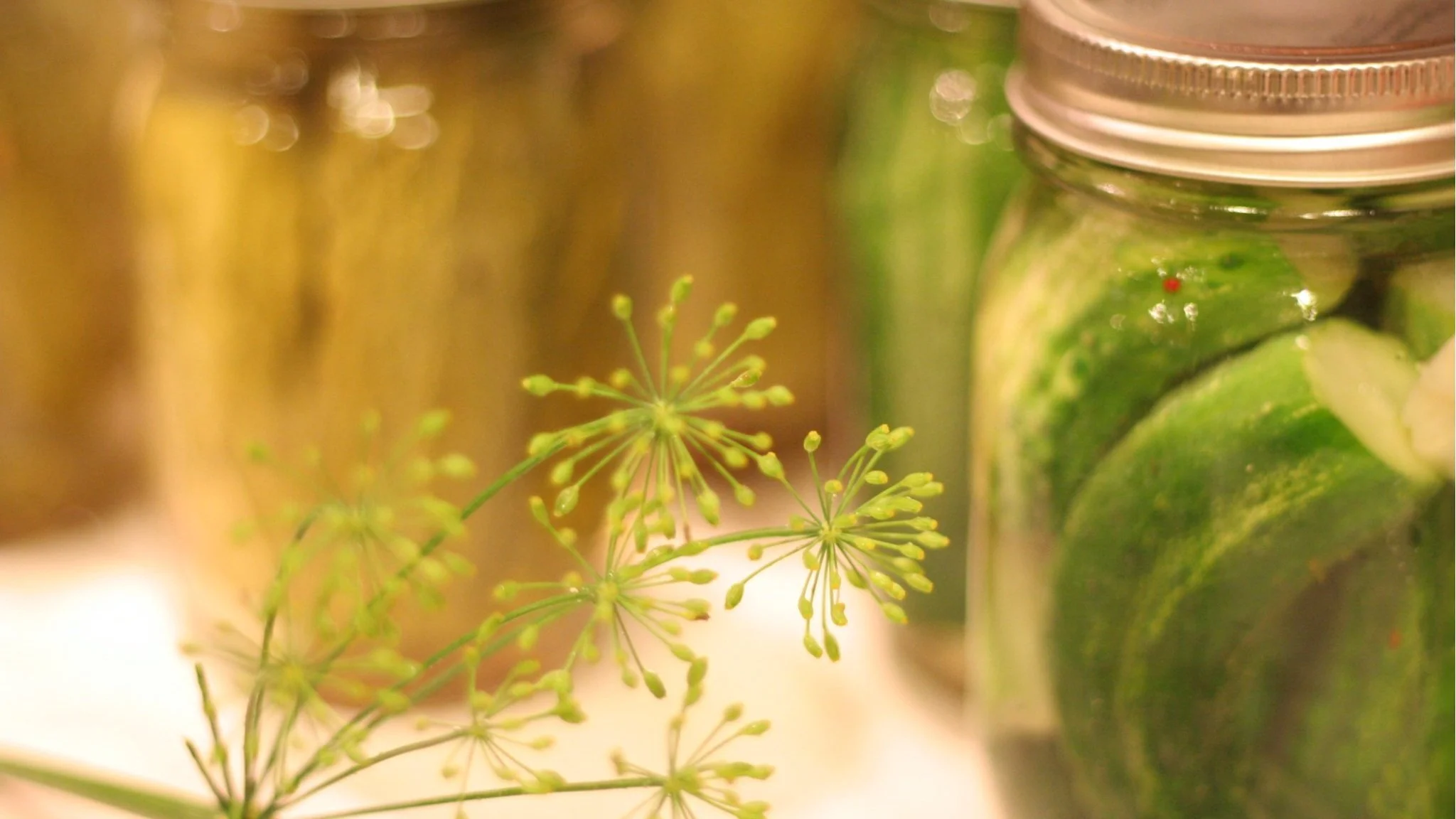 Jar of Dill Pickles
