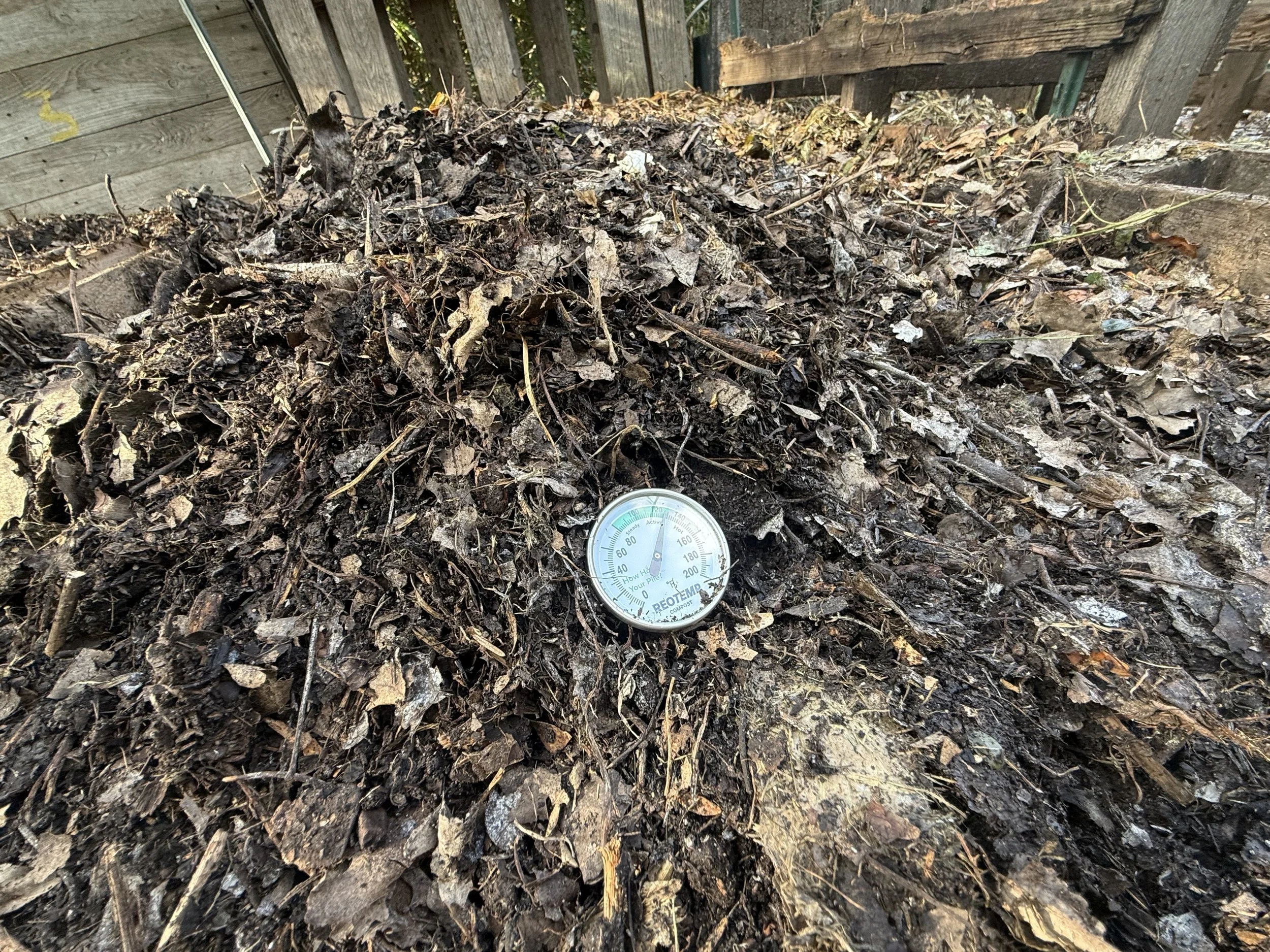 Thermometer in Compost Pile