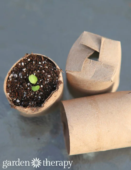 Three Ways to Recycle Cardboard for a More Sustainable Garden
