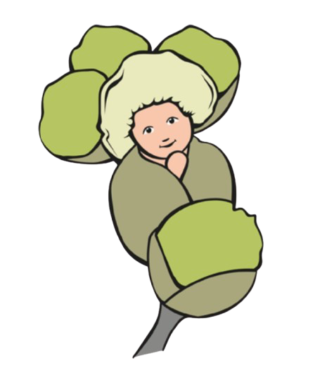 Skärmavbild_2025-10-14_kl._10.39.51-removebg-preview.png