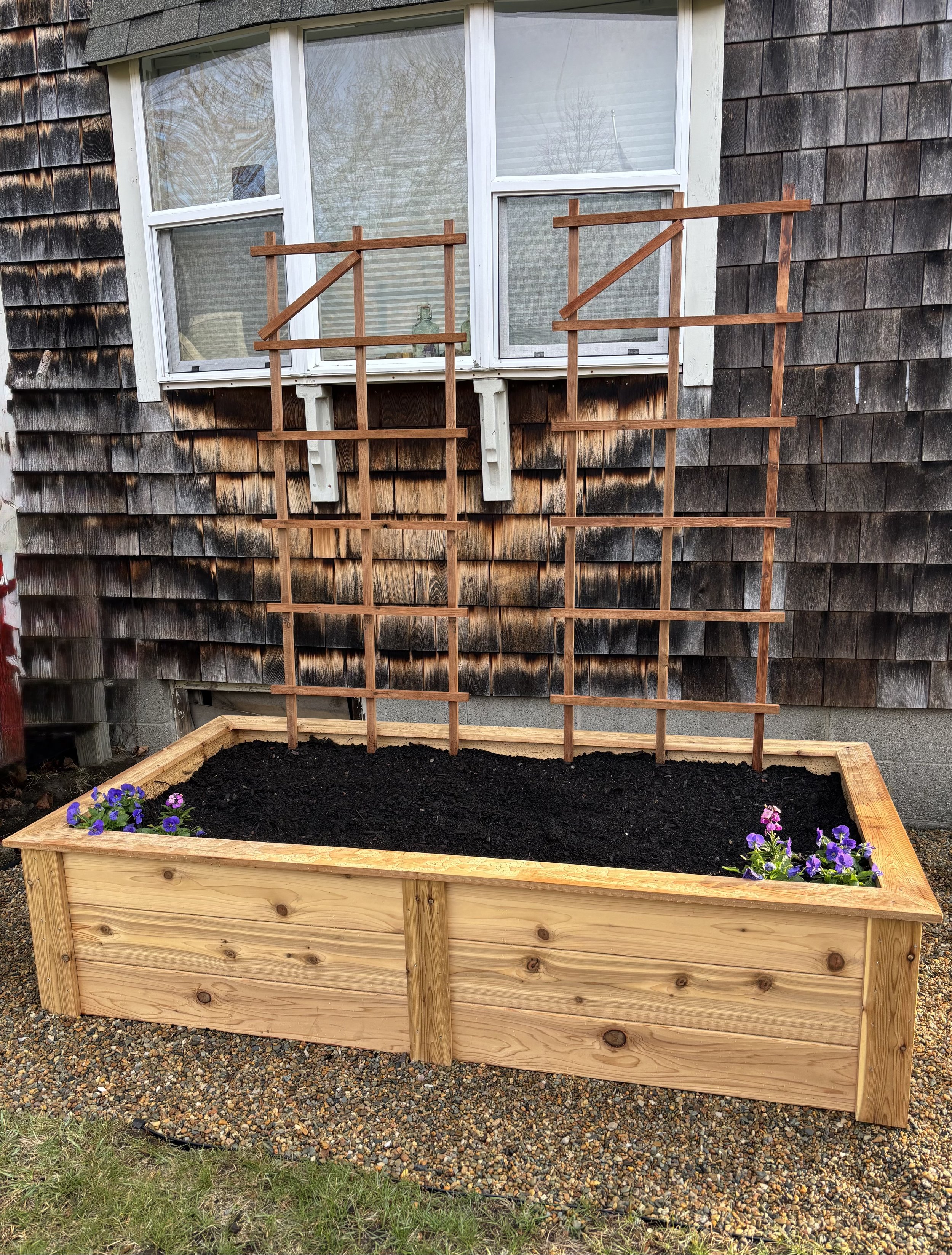 raisedbed3.jpg