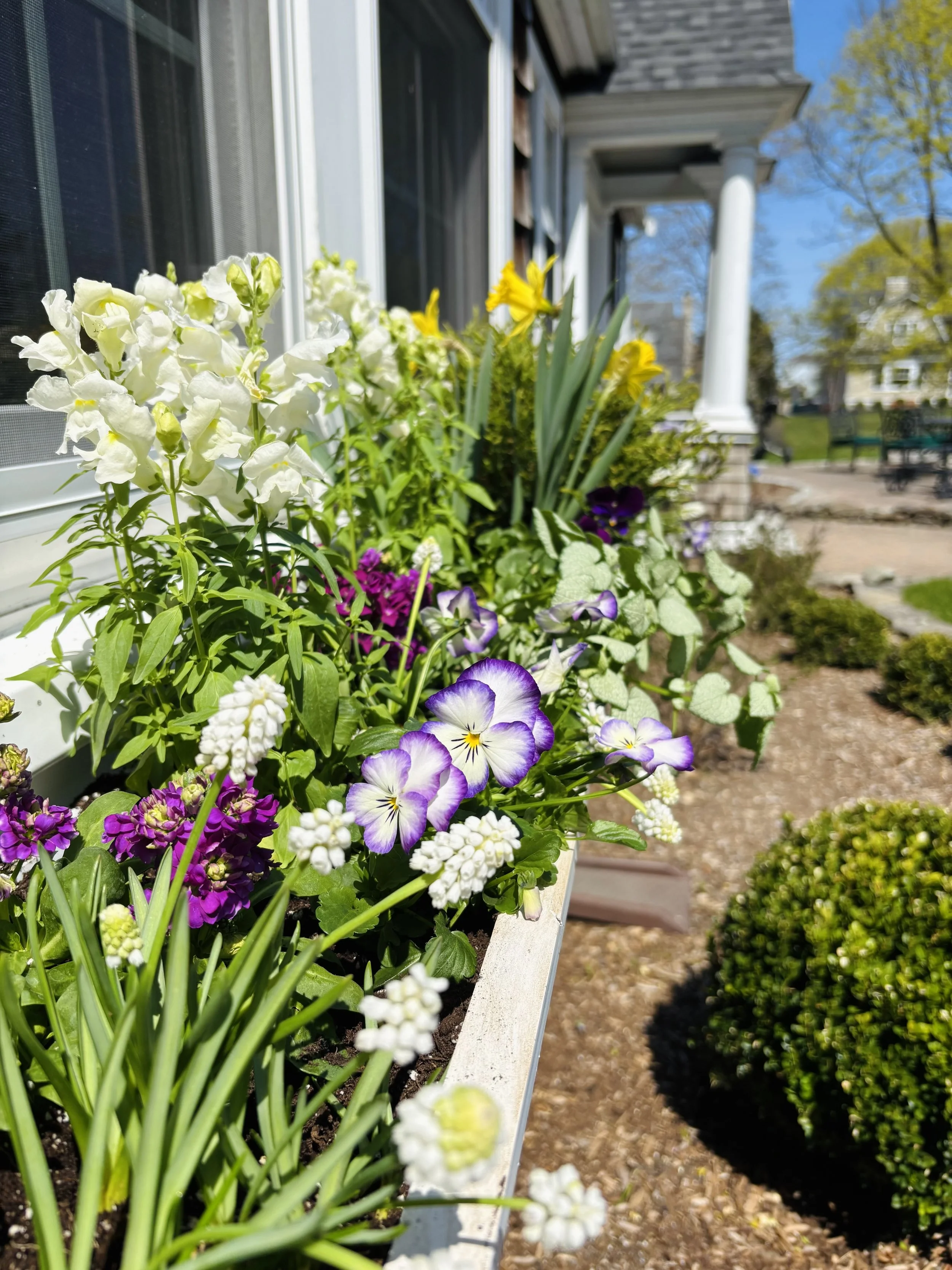 nancyflowerbox.jpg
