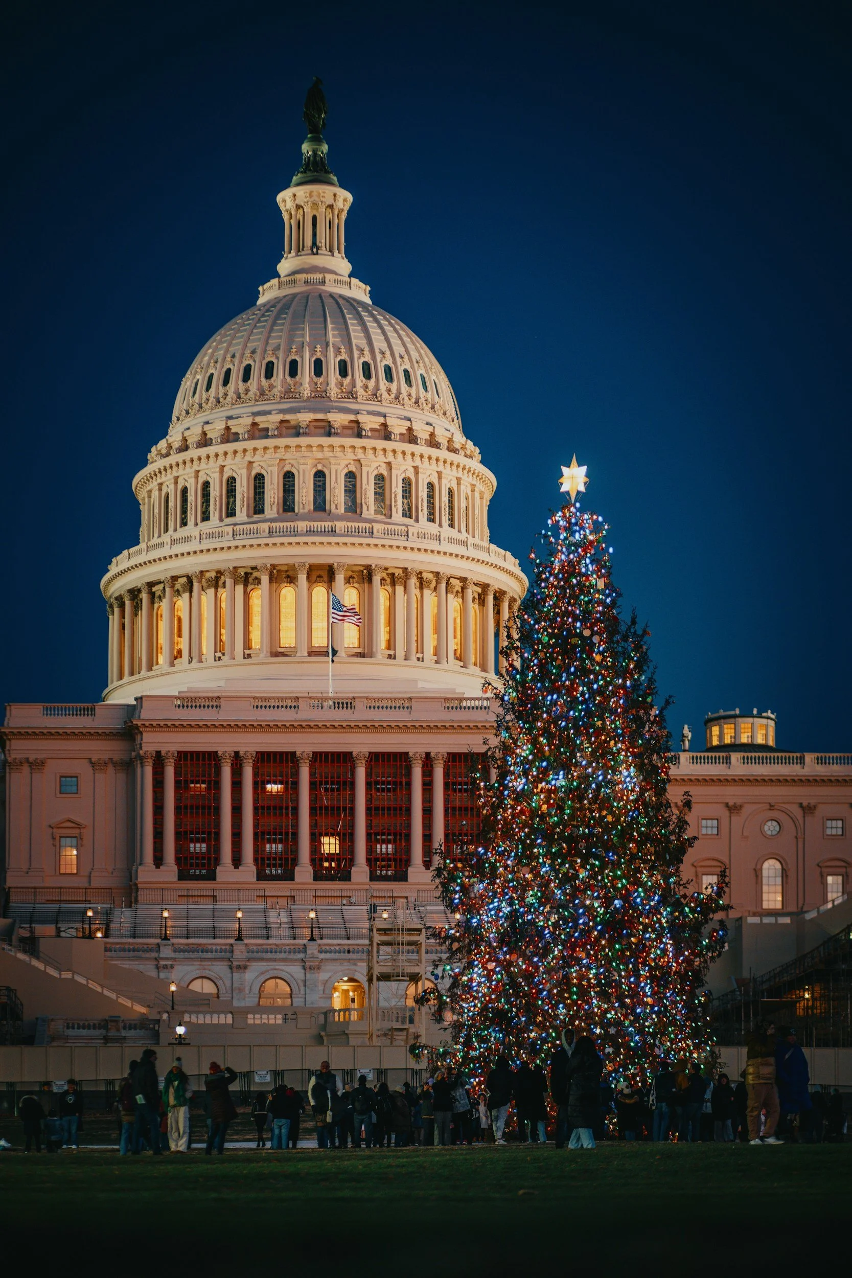 🎄 Winter Wonderland: Holiday Magic in Washington, D.C.