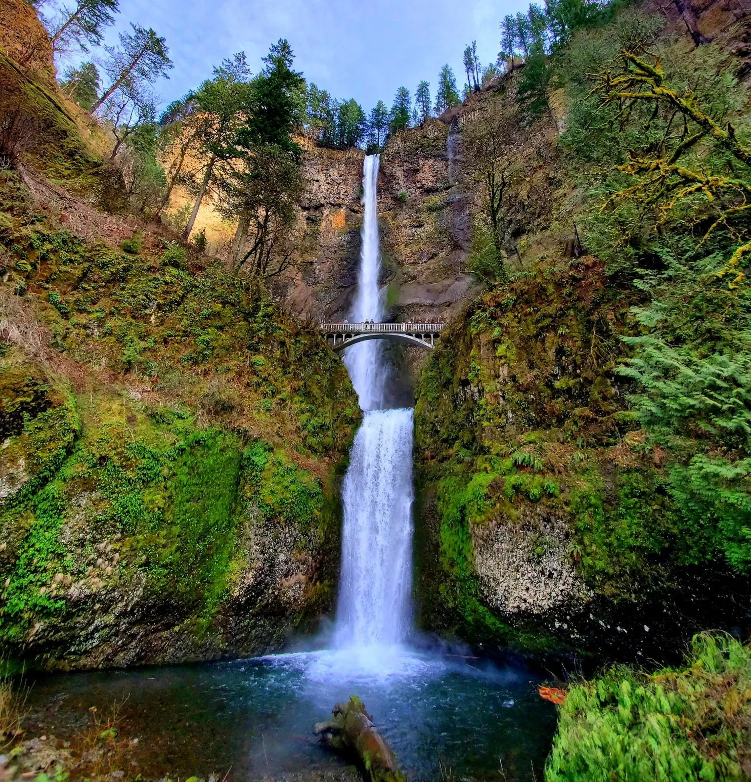 Multnomah+falls.webp