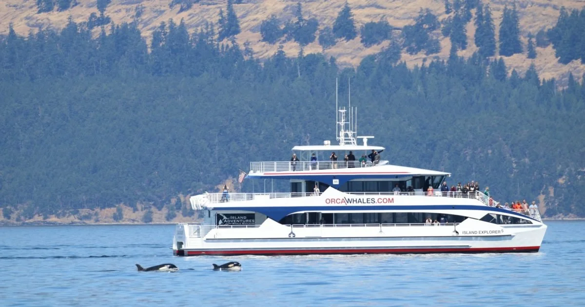 Island-Adventures-Best-Orca-whale-watching-in-the-San-Juan-Islands-and-Puget-Sound_190926_154517.jpg