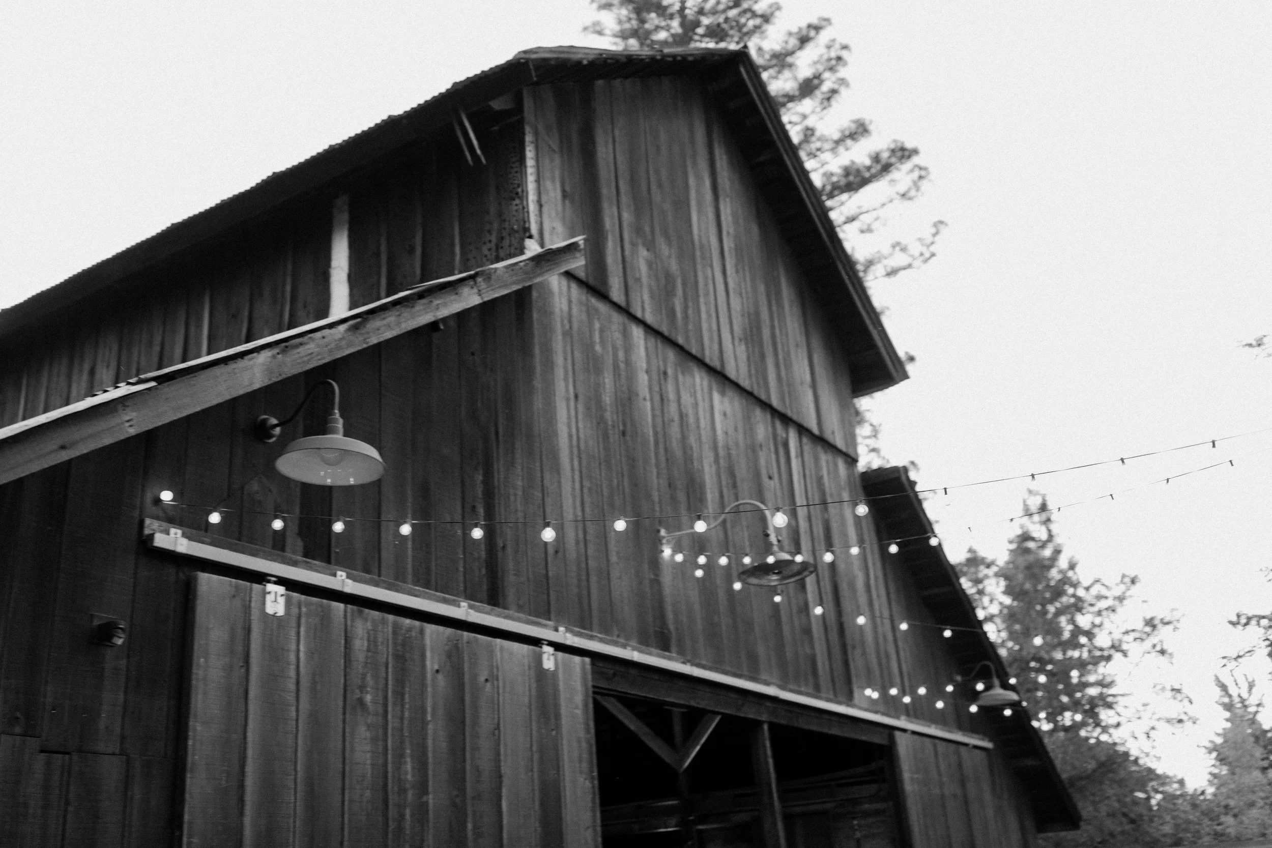 rustic barn mushroom lunch 
