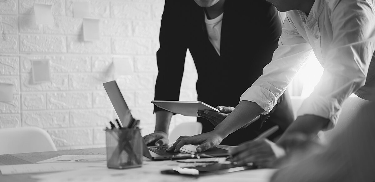 What we do: Project Management and General Consulting