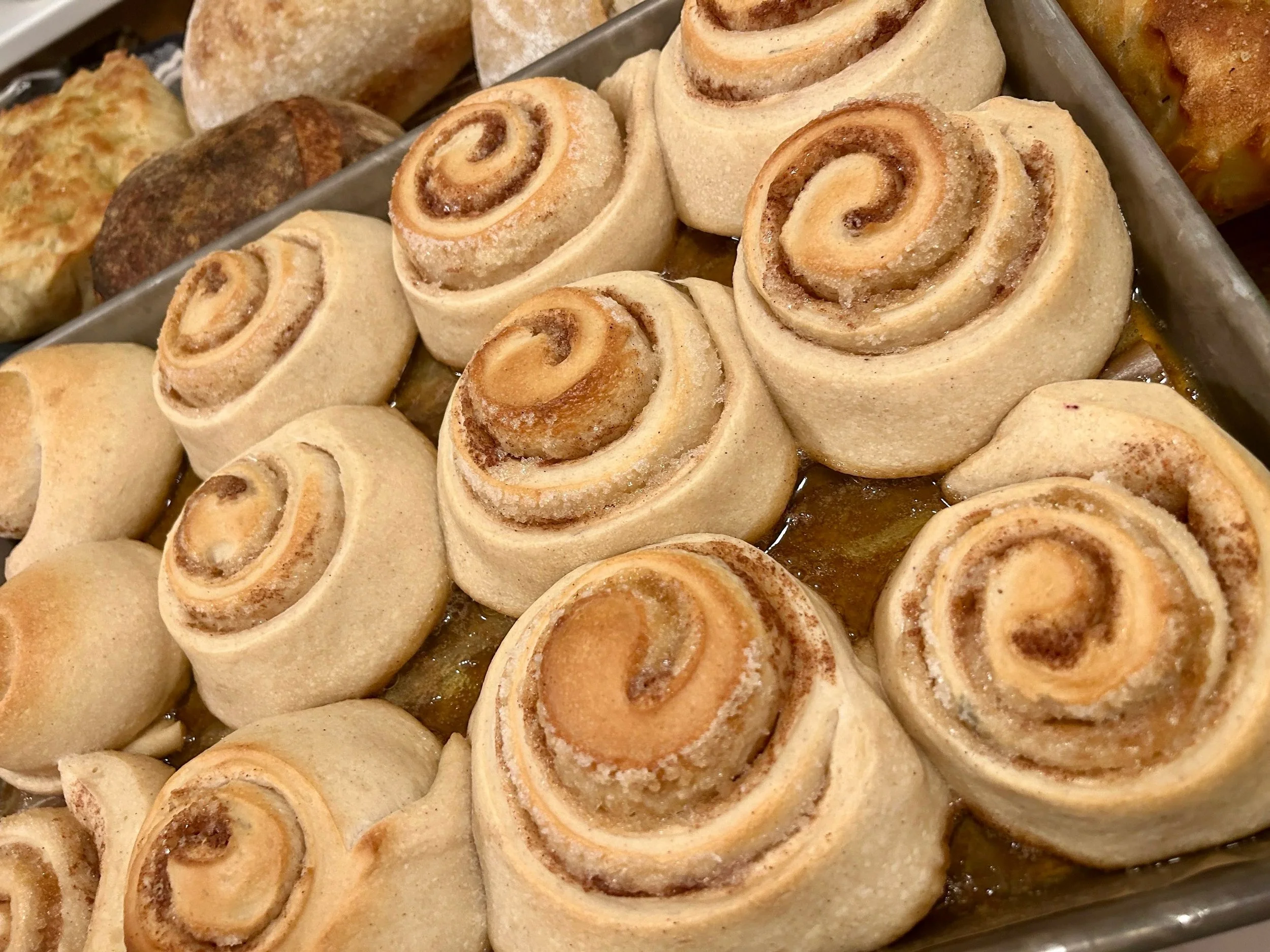 SOURDOUGH CINNAMON ROLLS