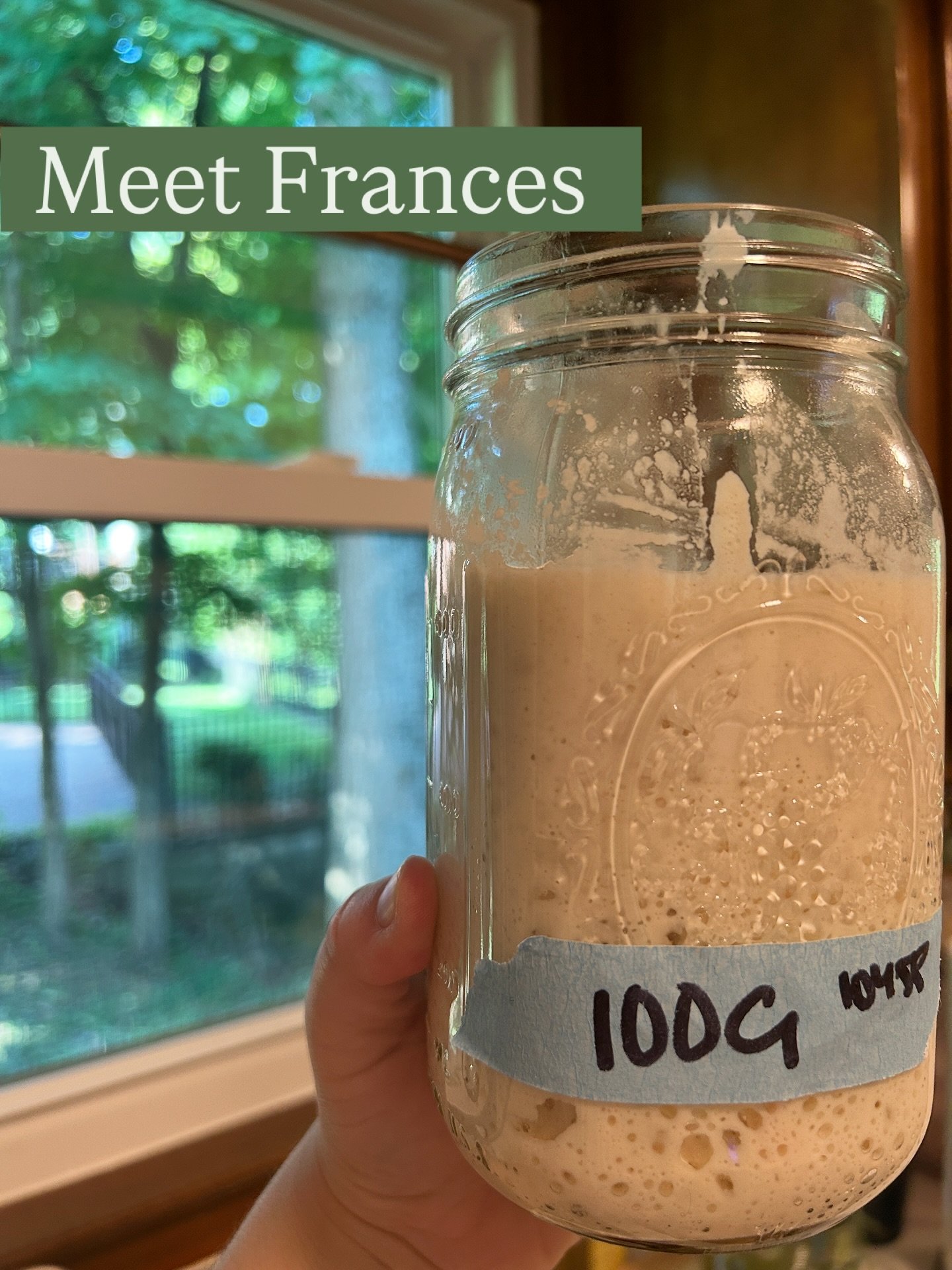 Meet Frances 💛
She’s the quiet, bubbly heart of The Storybook Kitchen—our beloved sourdough starter and the beginning of every good loaf. Frances has a bit of a wild side (especially after feeding), but we love her for it. 🤭
