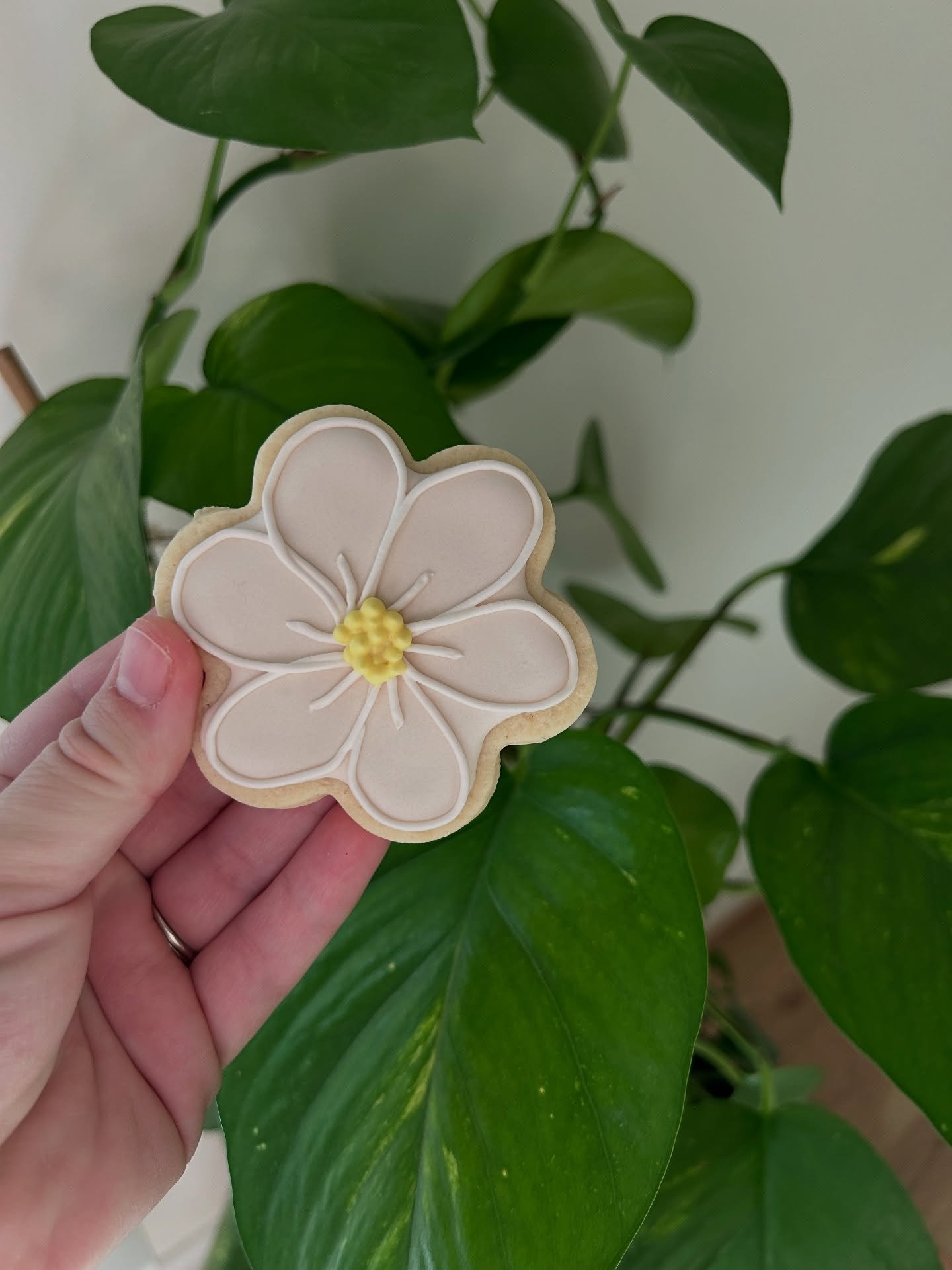 These iced sugar cookies are a sweet celebration of childhood summers—think flower picking, butterfly chasing, and imaginations running free. 🍄 🦋
They’re available for this weekend’s porch pickup and perfect for sharing, gifting,