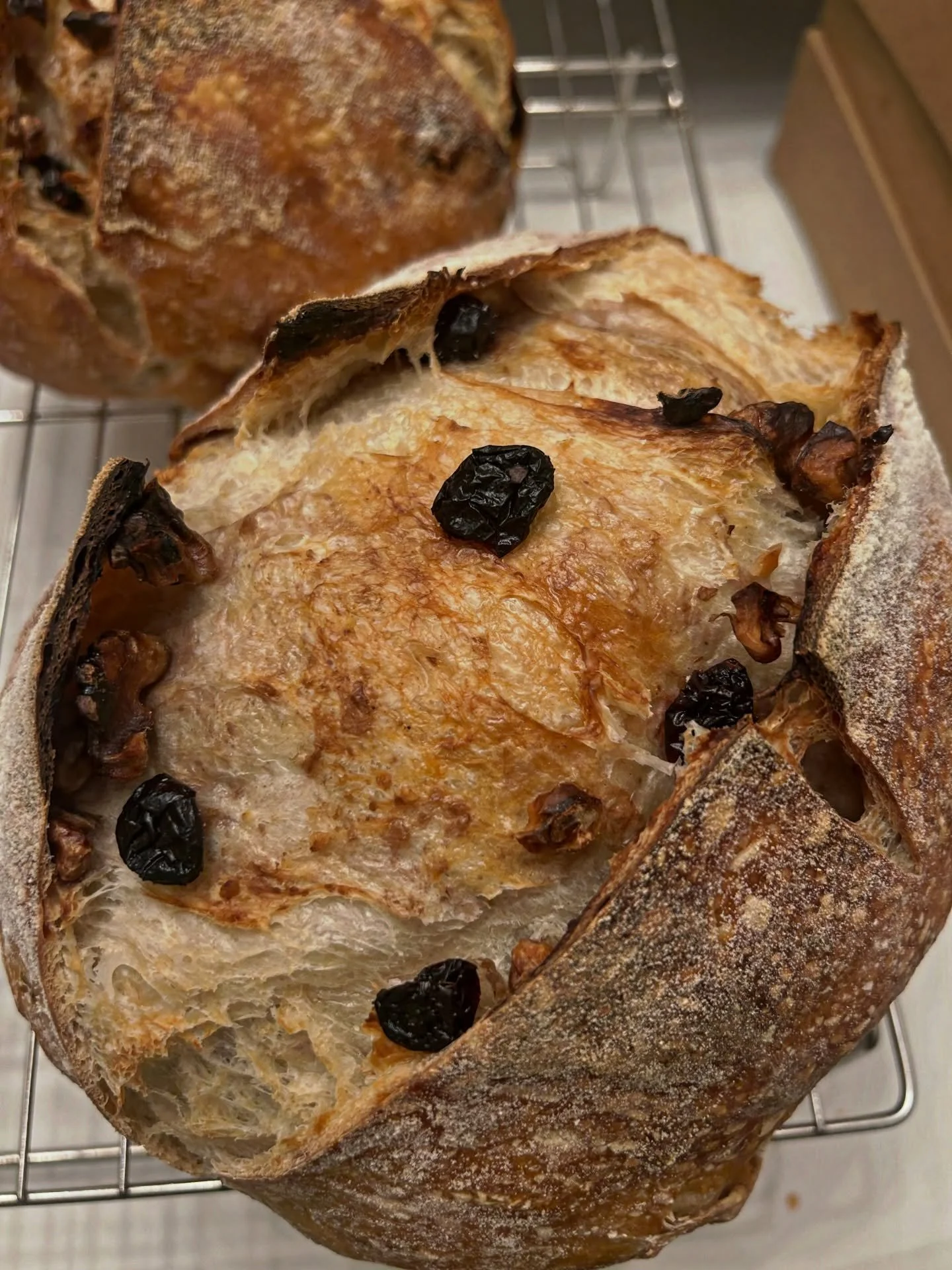 Cranberry walnut sourdough has been such a fun addition to our seasonal menu. Something about a tart and crunchy loaf is super satisfying for breakfast slices or turkey sandwiches. What combination loaves would you like to see us make in 2026? ⬇️