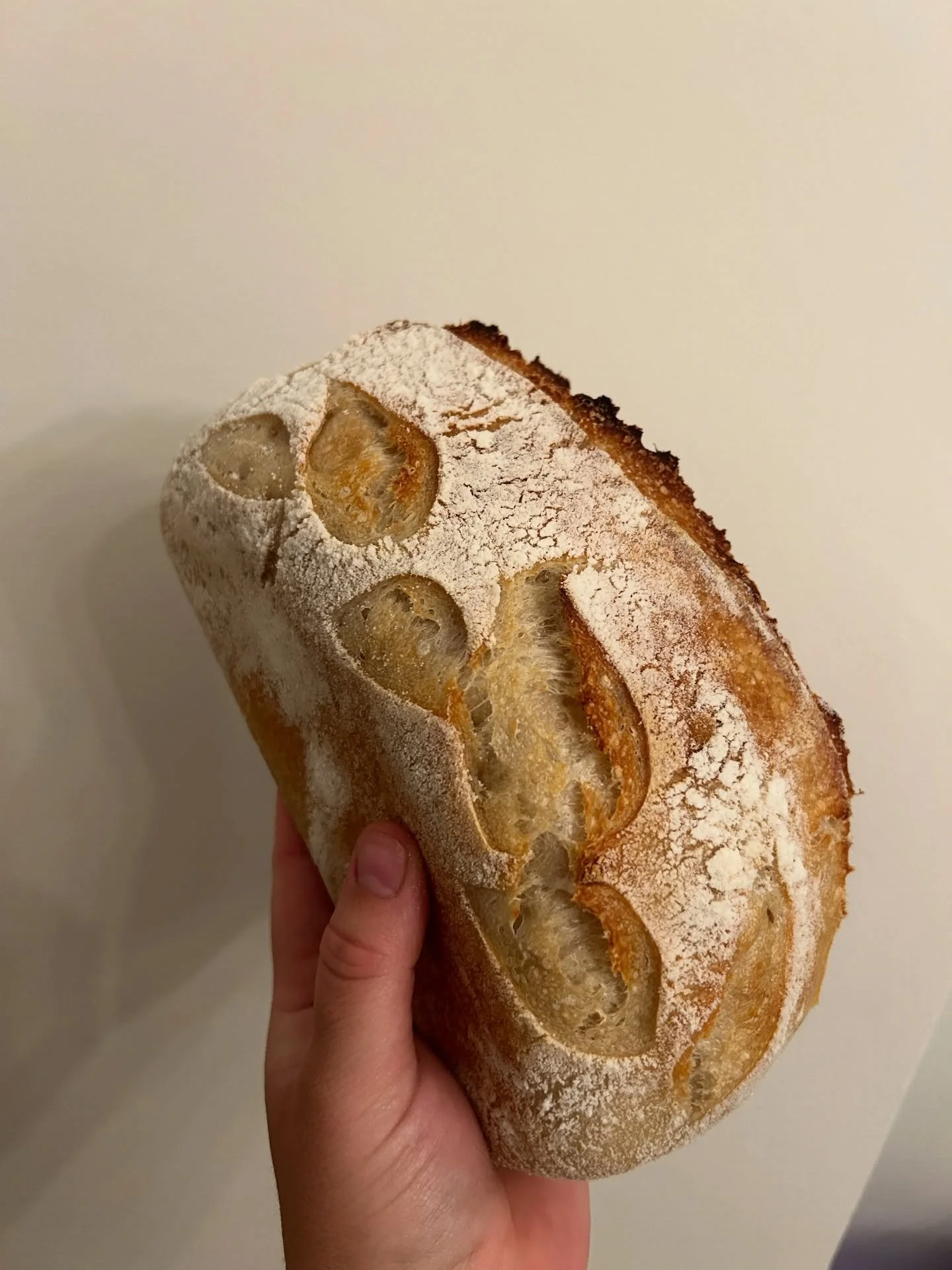 🍞 simple is underrated. with 3 ingredients (filtered water, sourdough starter, and salt) you can make something nutritious, filling, and tasty. add a loaf of classic sourdough to your 5/9 porch pickup order or visit @coffeehousehaven on Friday 5/1 t