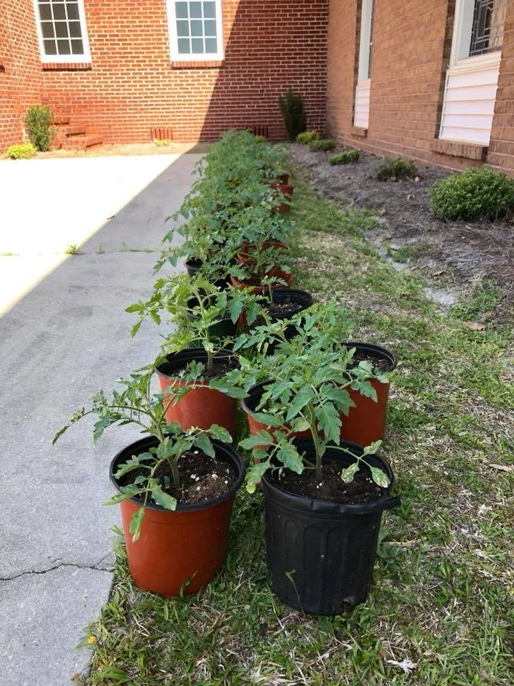 BS in Mission 15.jpg