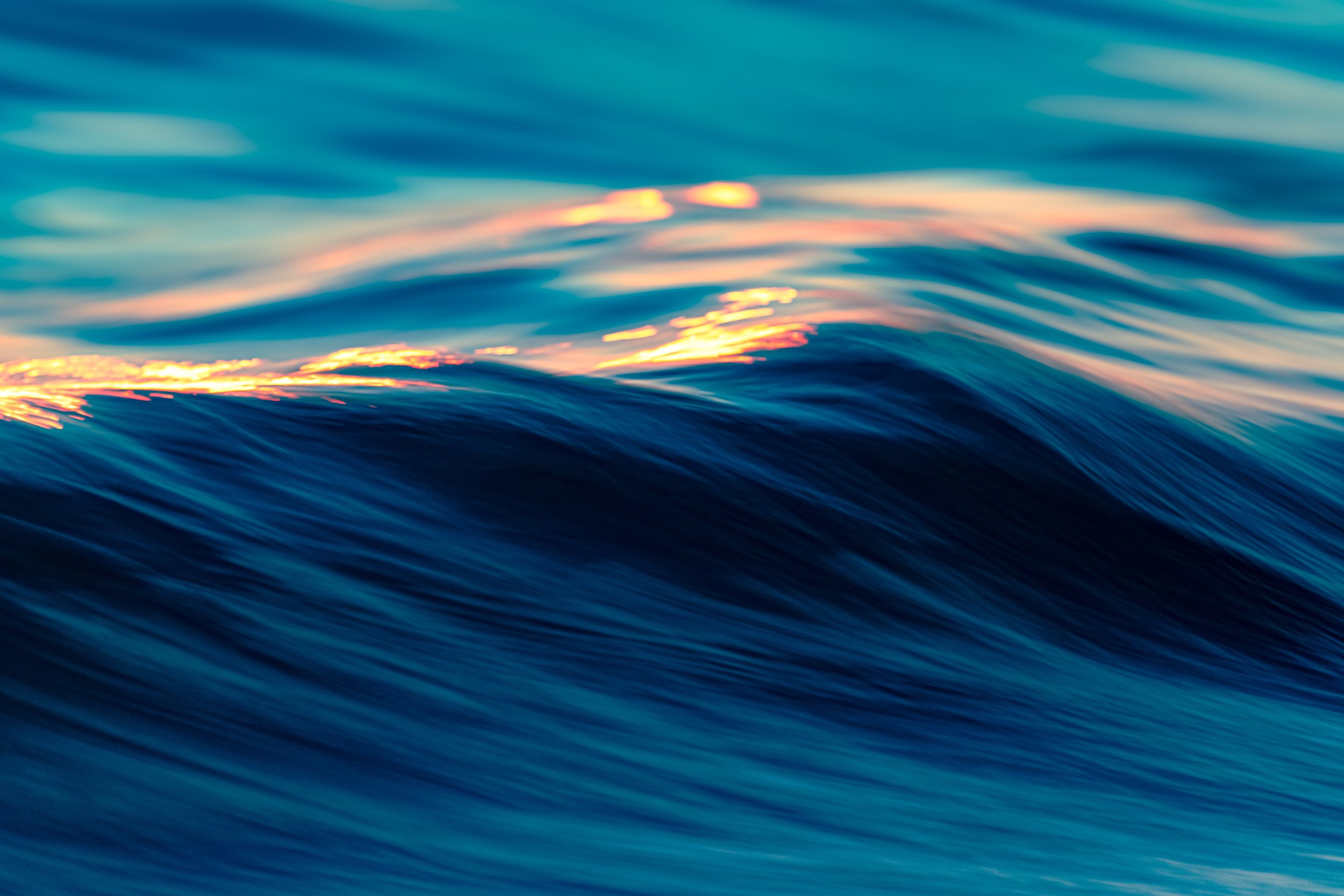 Swag Surfin'.jpg