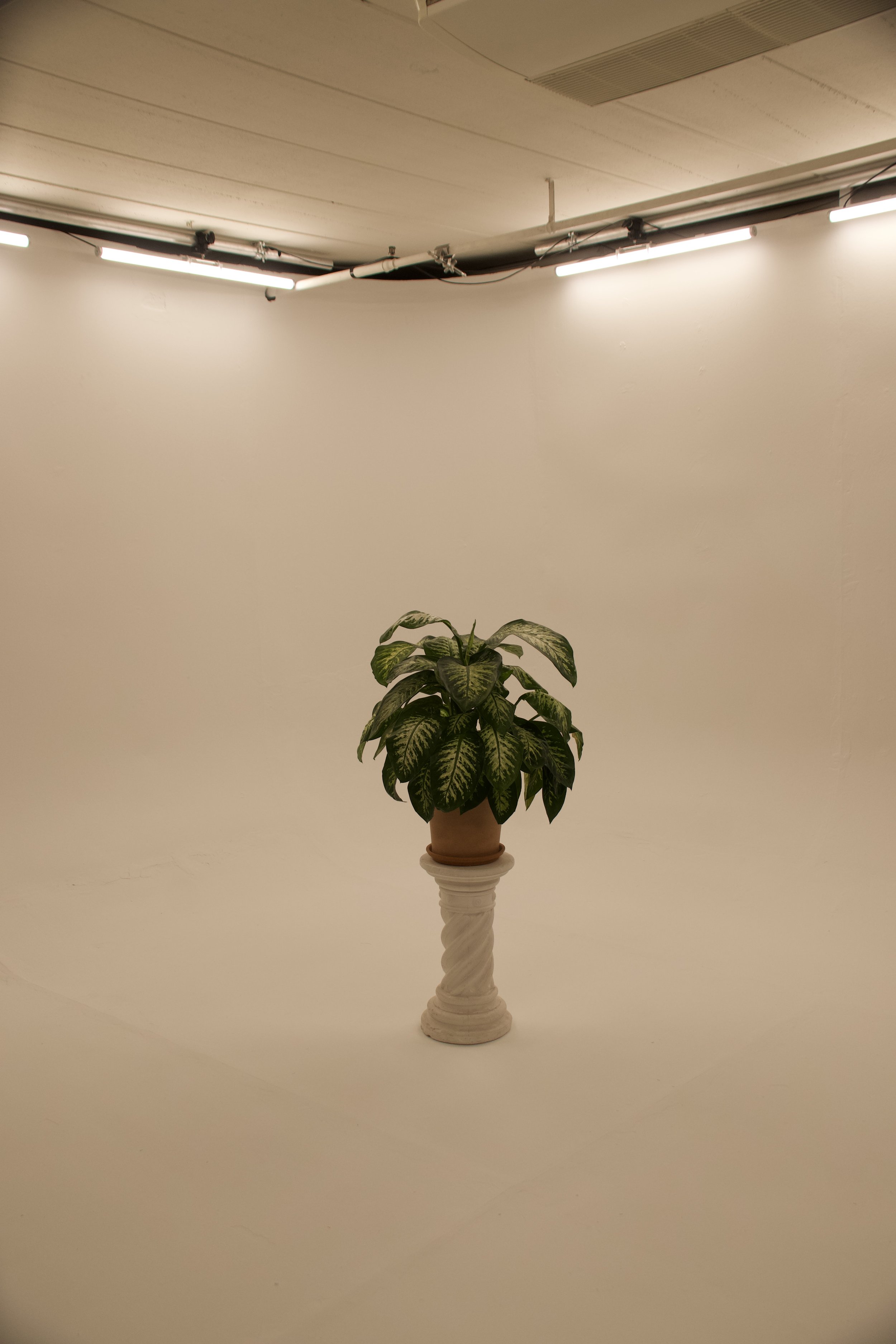_DSC9154.jpeg