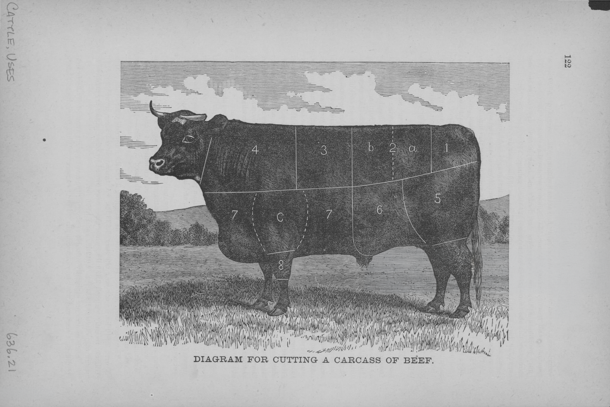 Culinary Codex: Beyond Beef