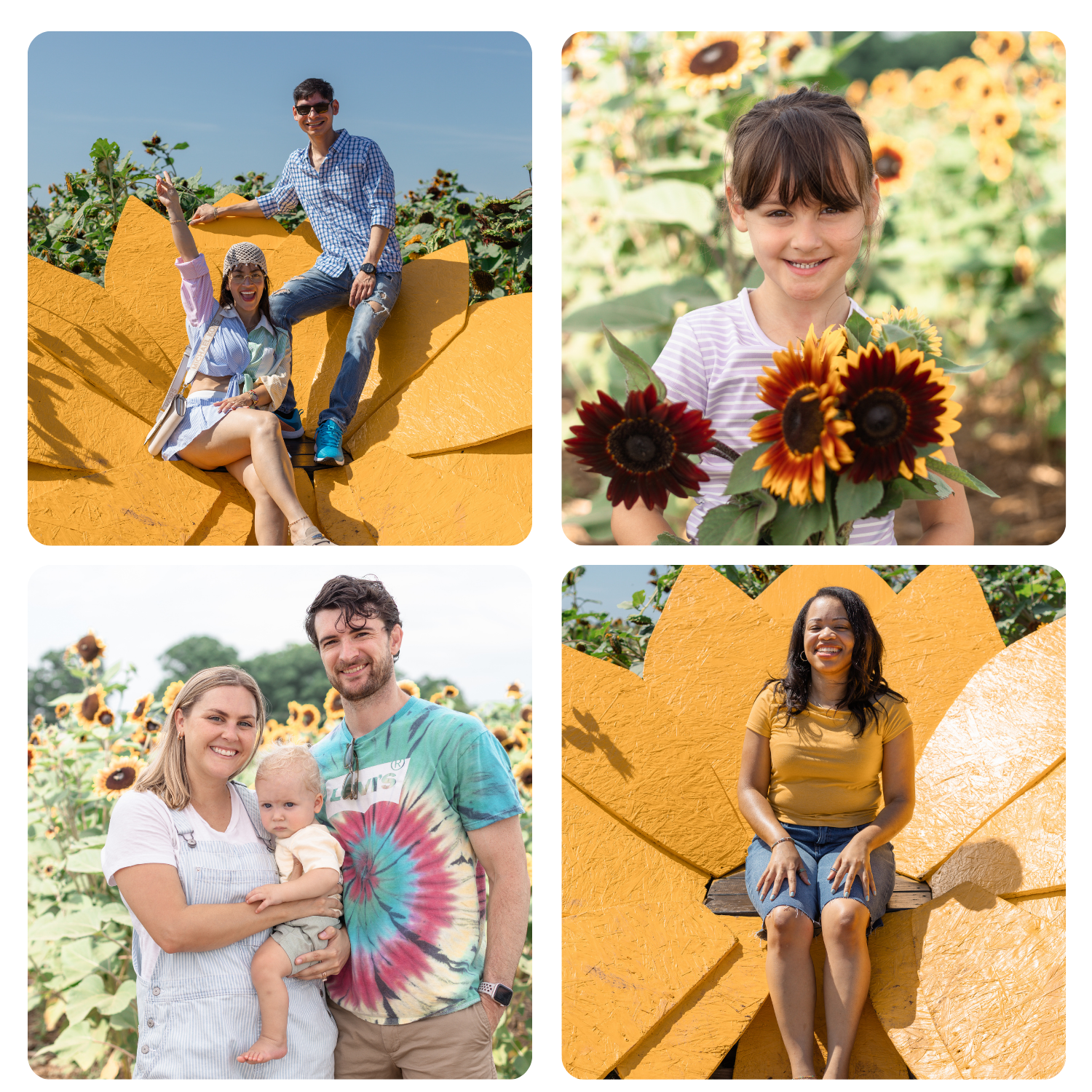 Sunflower Festival Photos
