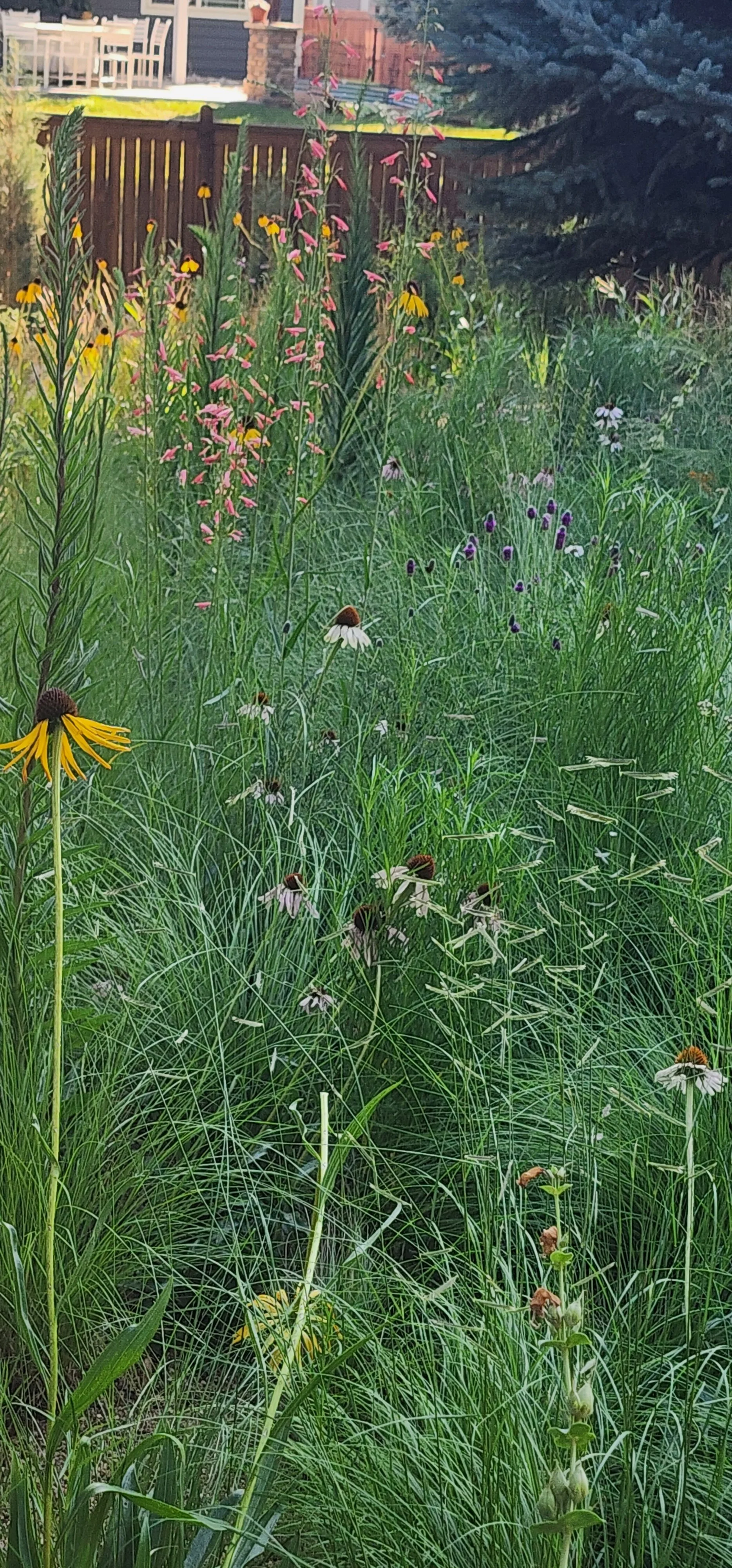 PRAIRIE GARDEN 3 2025.jpg
