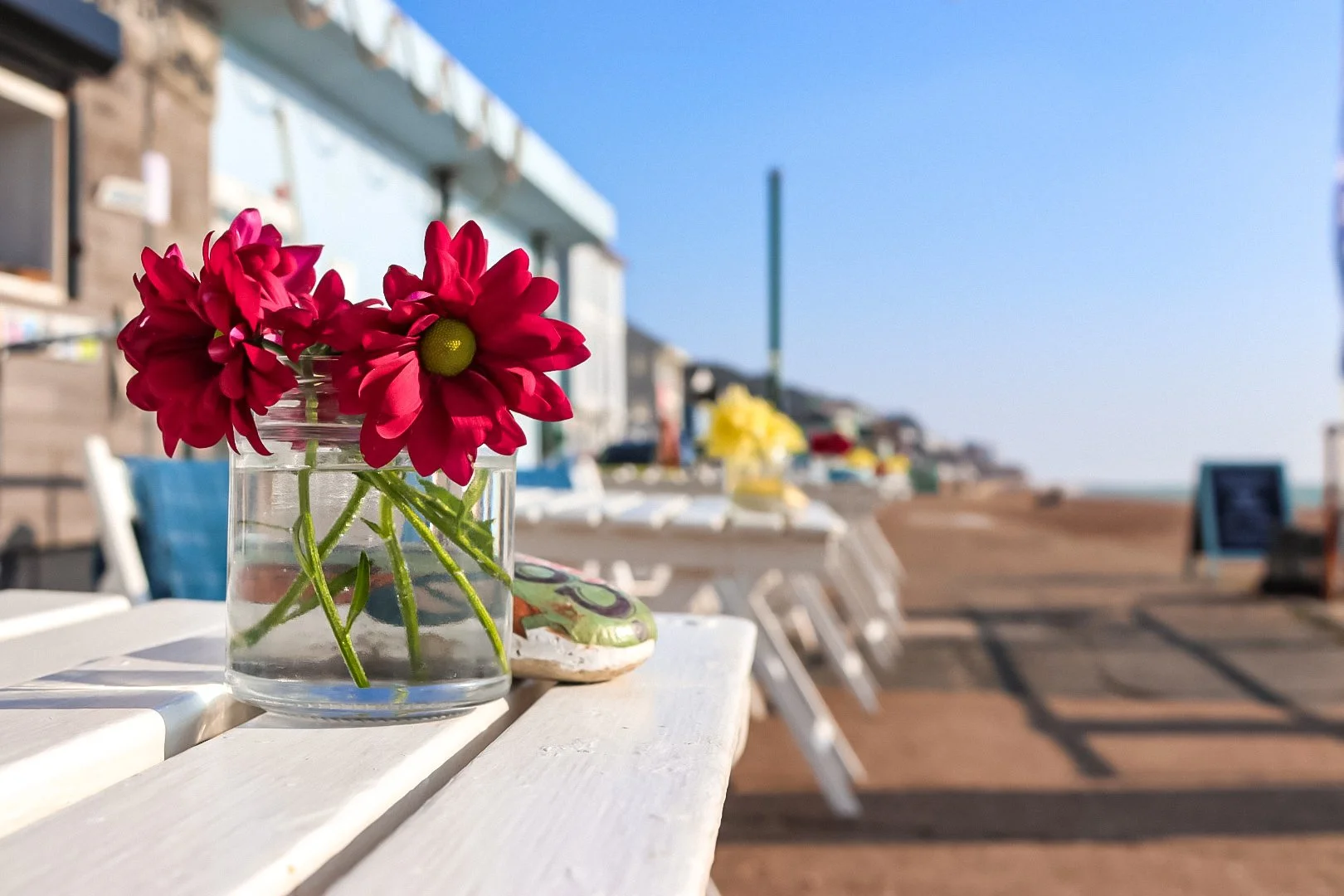 Red flowers in a glass vase on a white table outdoors with a beach and blue sky in the background.
