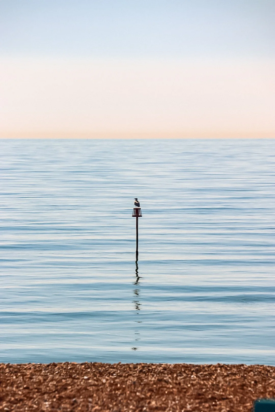 A seagull perched on a red navigation marker in calm ocean waters, with a pebble beach in the foreground and a gradient sky in the background.
