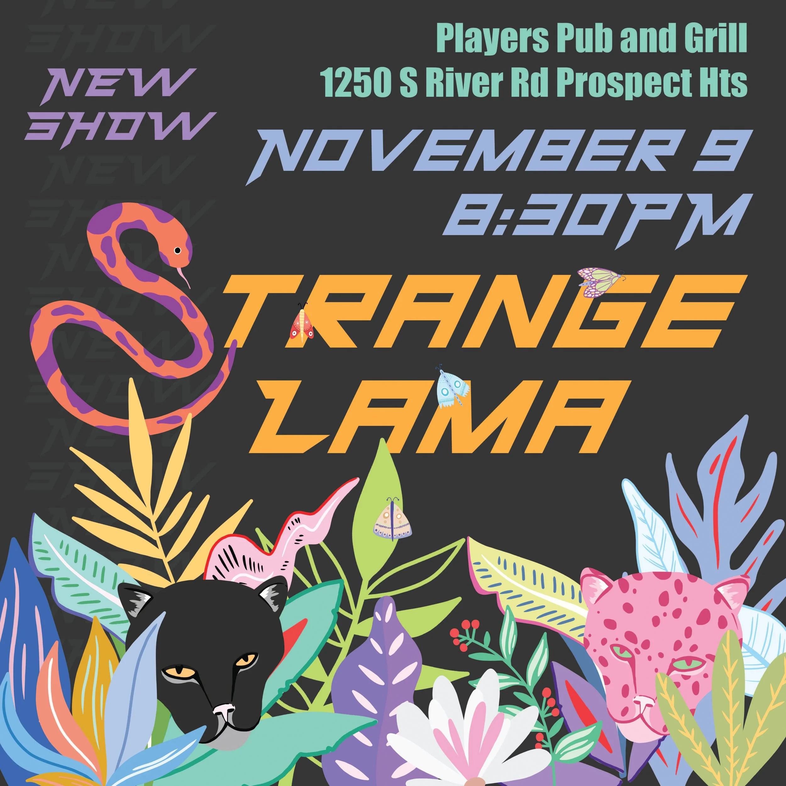 StrangeLama Nov20 Insta_RGB.jpg