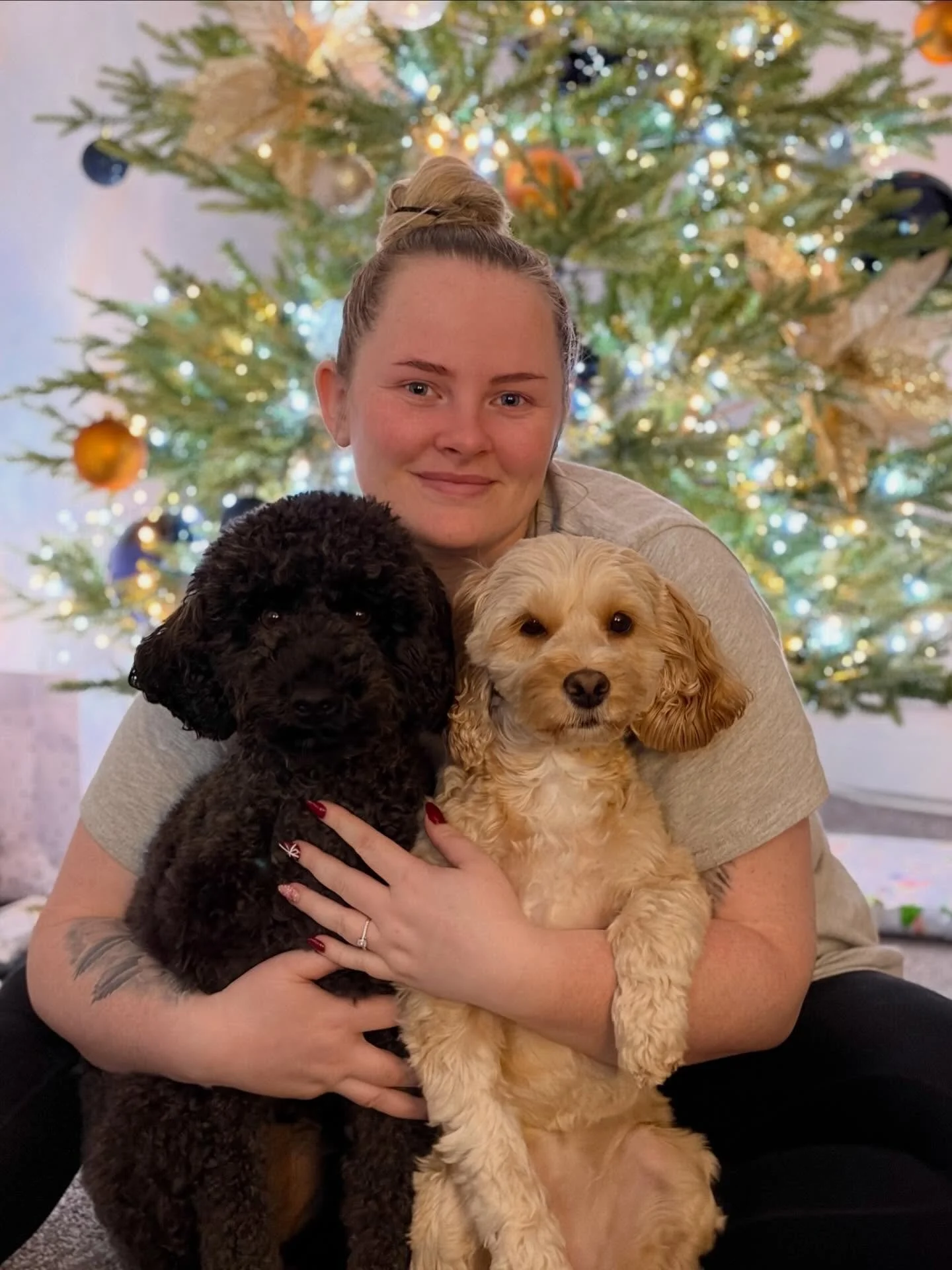 That&rsquo;s a wrap for Christmas! ✂️🐾
A massive thank you to all my amazing clients for keeping me busy and trusting me with your gorgeous doggos over the festive period 🎄 I honestly couldn&rsquo;t do this without you 💕

I&rsquo;m now officially 