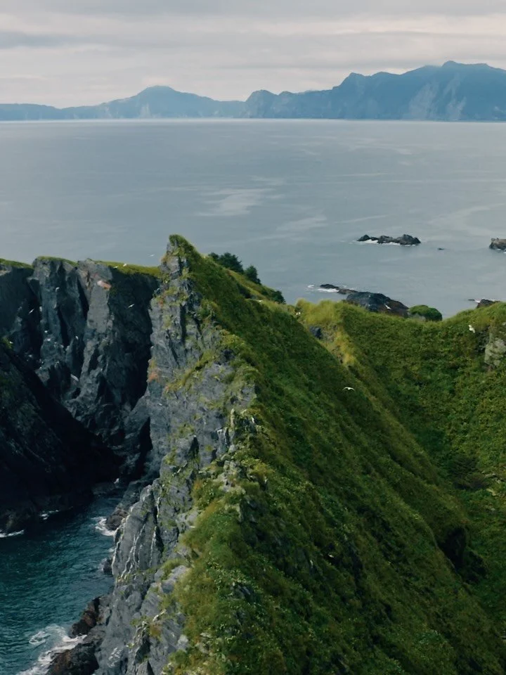 Just wrapped up an incredible week out in Bristol Bay filming for @northline_seafoods, a wild seafood processor doing things a little differently. Then flew over to Kenai to hang with my cousins for the second leg of the trip. Hard not to pull the ca