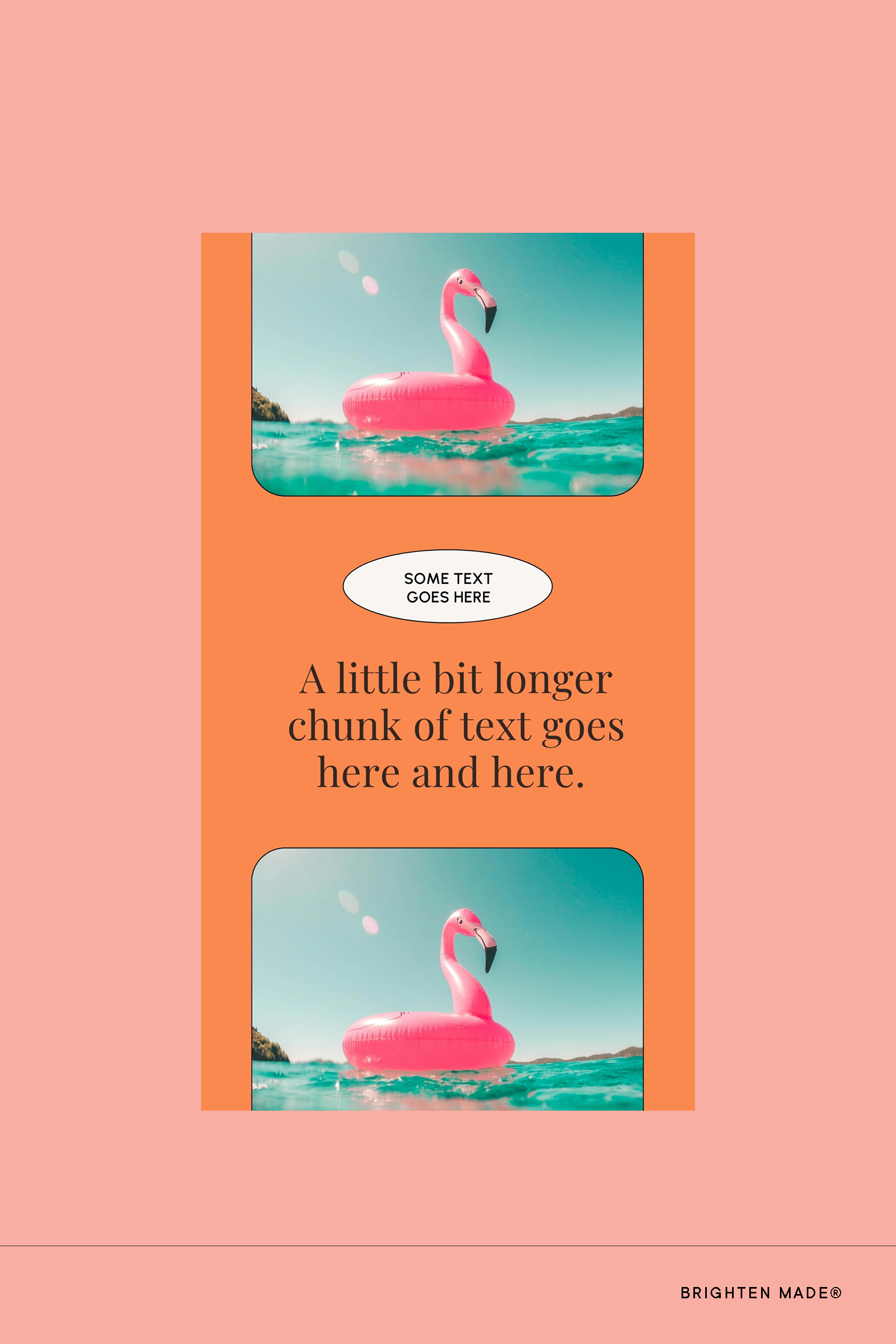 Vivid-SHOP-STORIES5.png