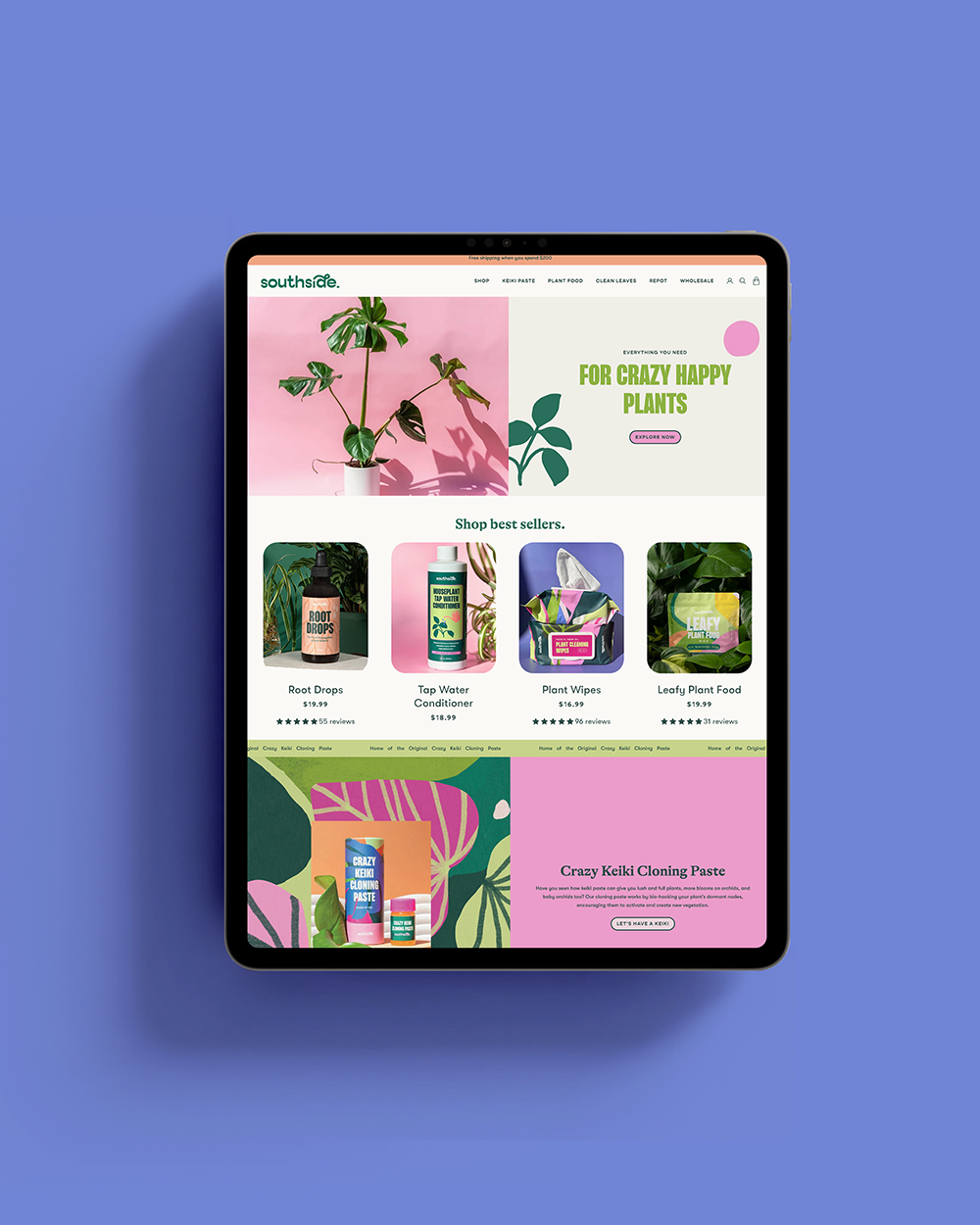 the fastest way to ruin your website