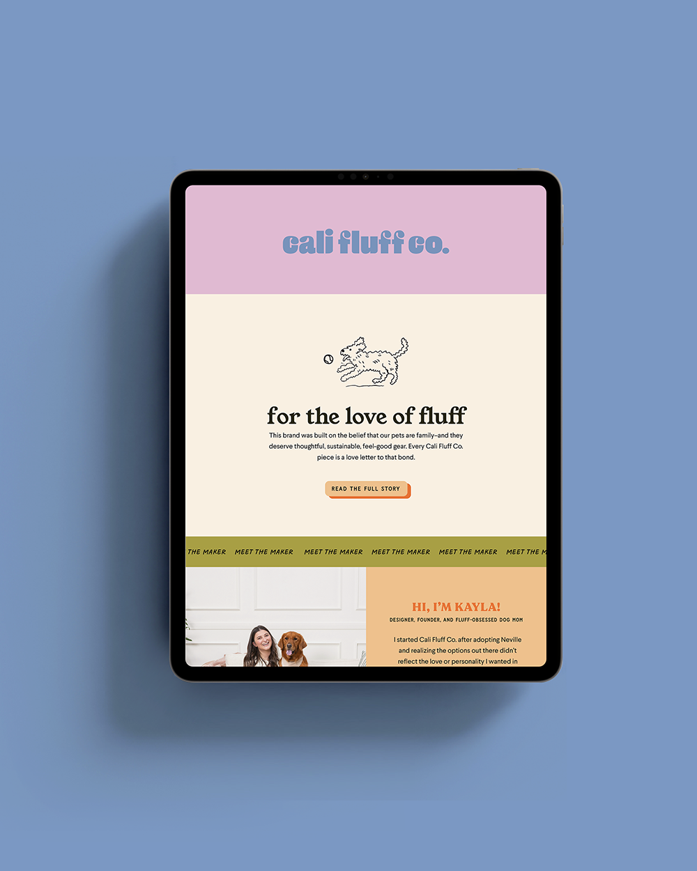 how to choose an email marketing platform without spiraling