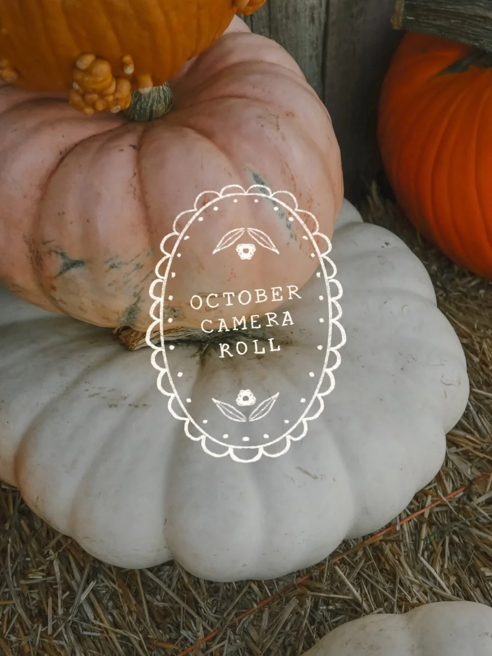 Currently inspired by: 
🤎 any sort of pink and brown color combo
🤎 raw imperfect artwork, textures and lettering in this generic AI world
🤎 cute pale pumpkins. heck even the orange ones for nostalgic vibes
🤎 being a girl mom and dressing these tw