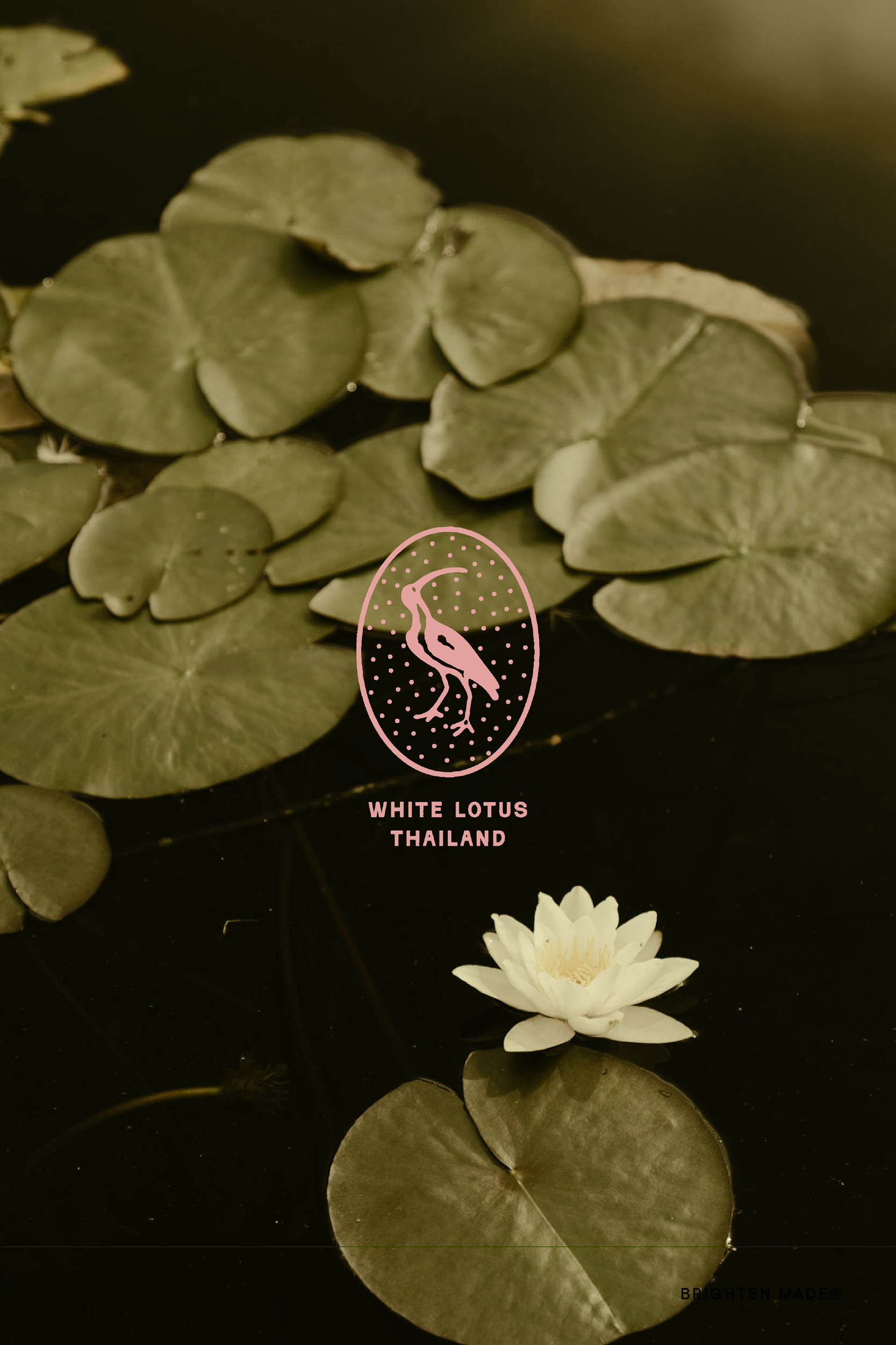 TheWhiteLotus-SHOP15.png