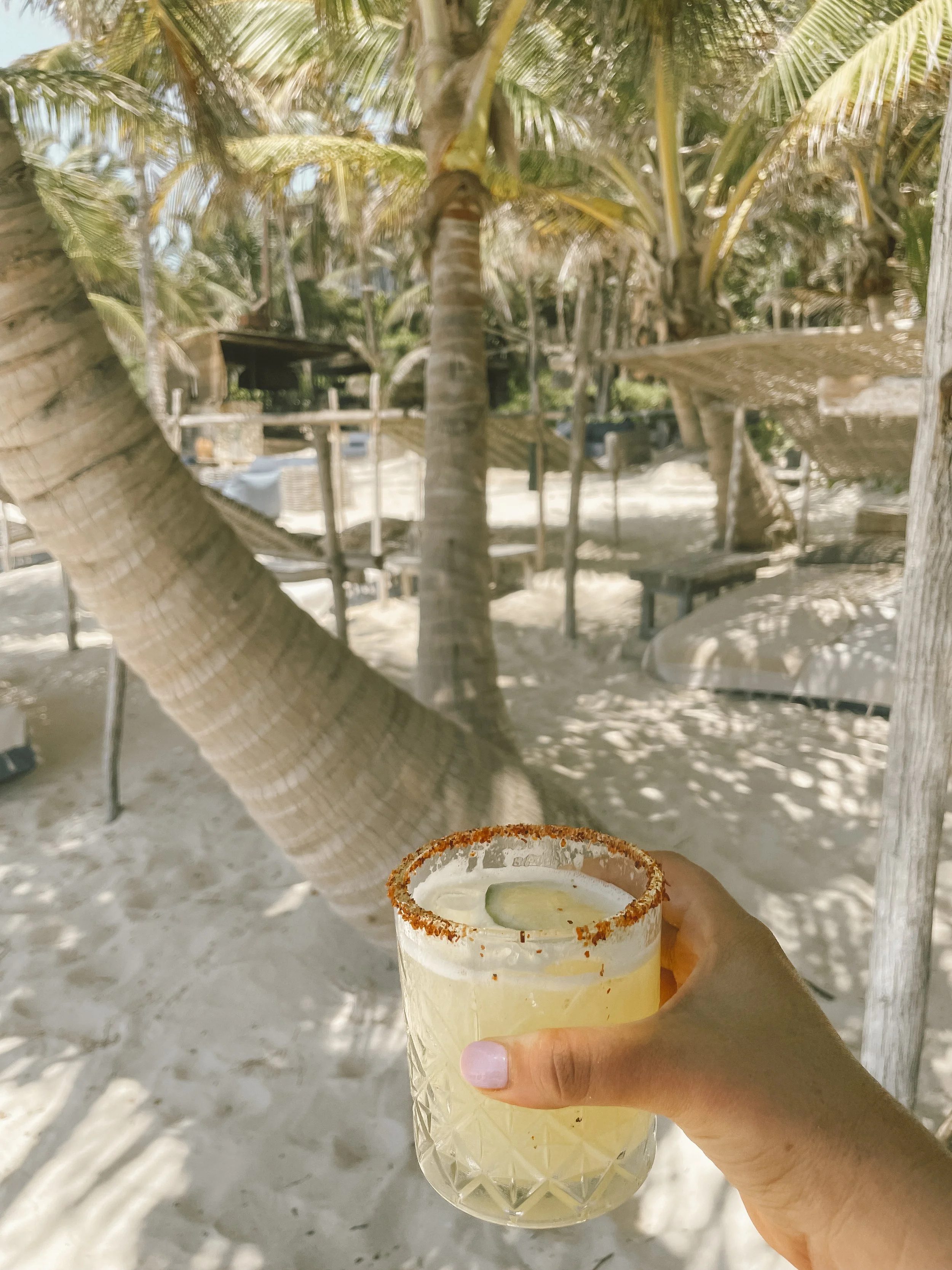 FUN FACTS | I’m inspired by beautiful surroundings—if I’m not designing logos, I’m probably redecorating my house again, planning my next Italy trip, or enjoying tacos, margaritas, and plenty of queso.