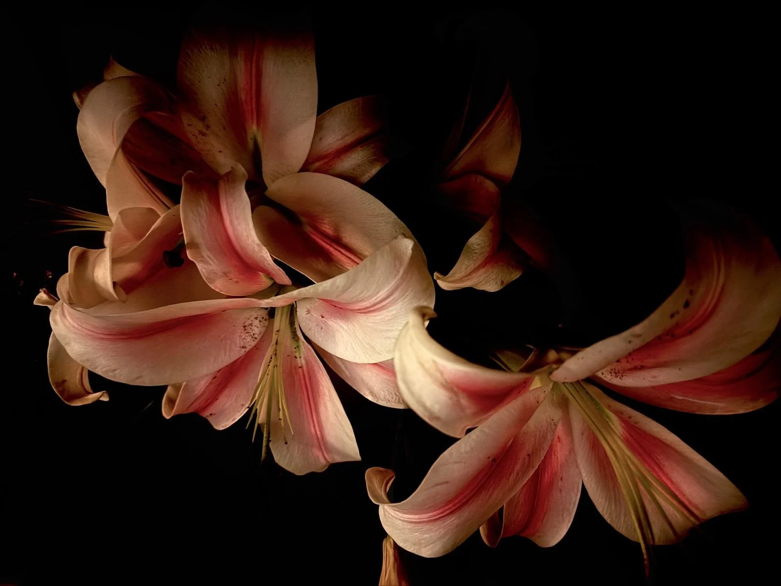 Darkness thoughts on December 31, 2025