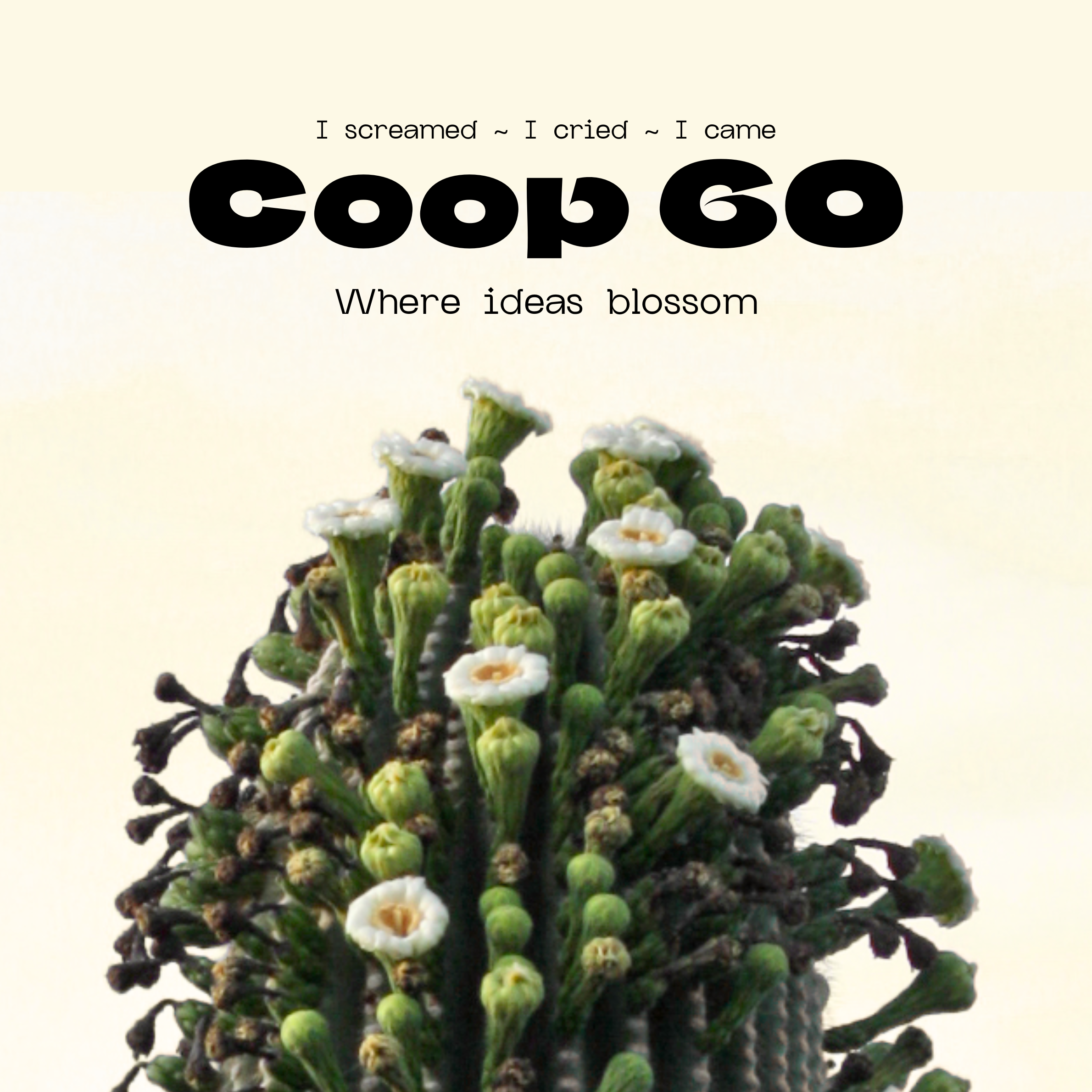 Coop 60 hr Film Festival