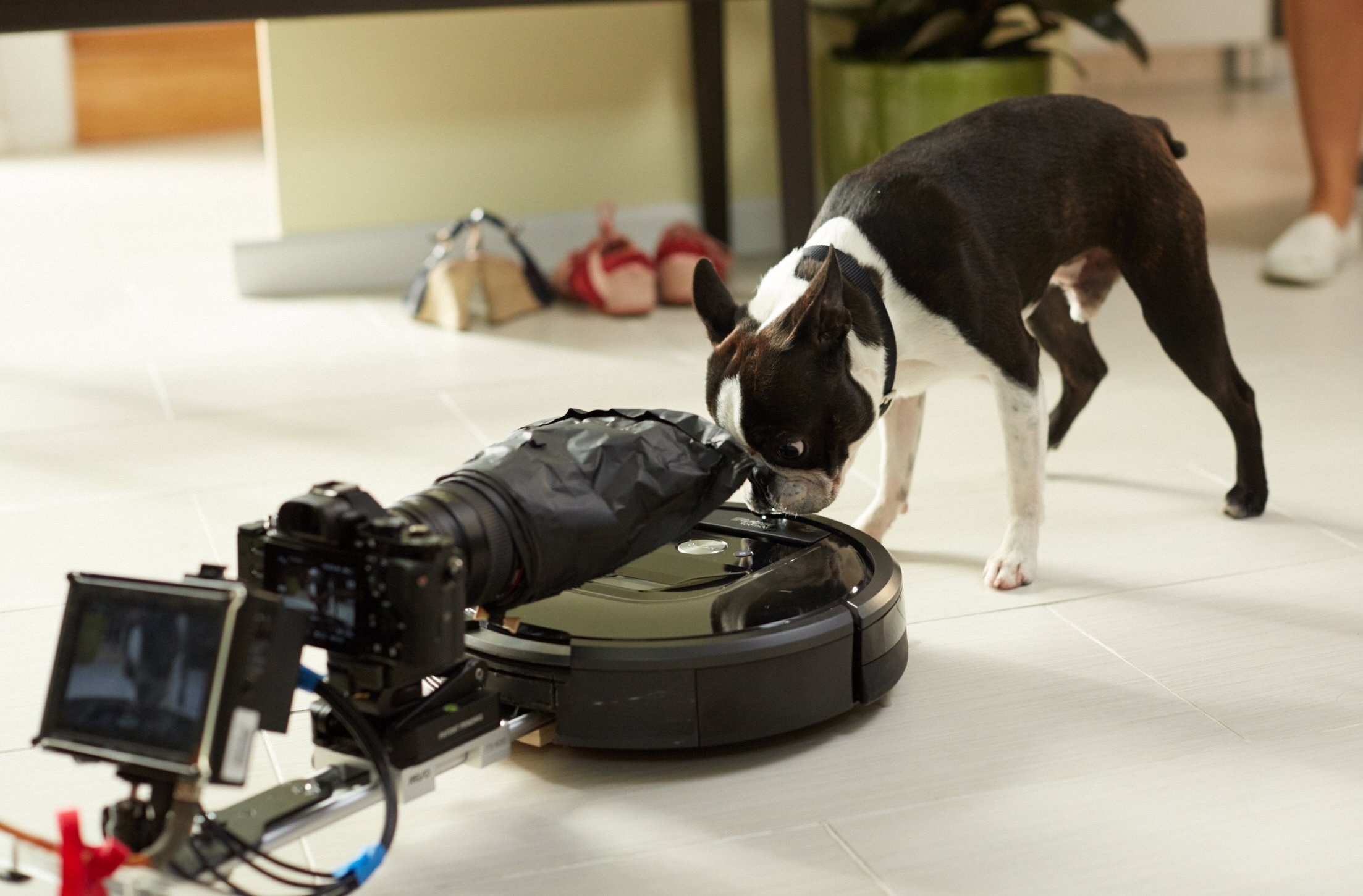 Just another day on a Roomba shoot.