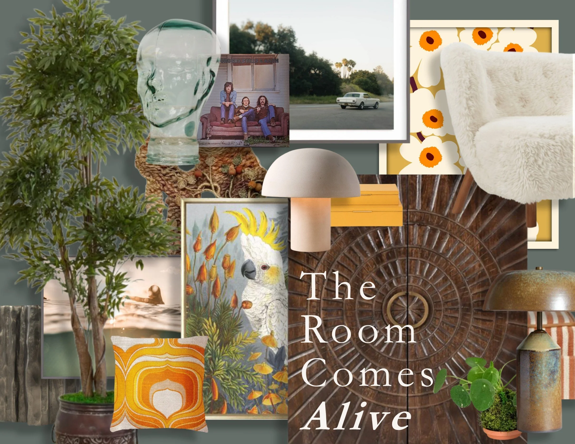 The Room Comes Alive.jpg