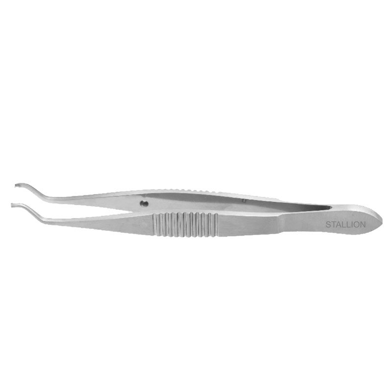 DASTOOR SUPERIOR RECTUS FORCEPS