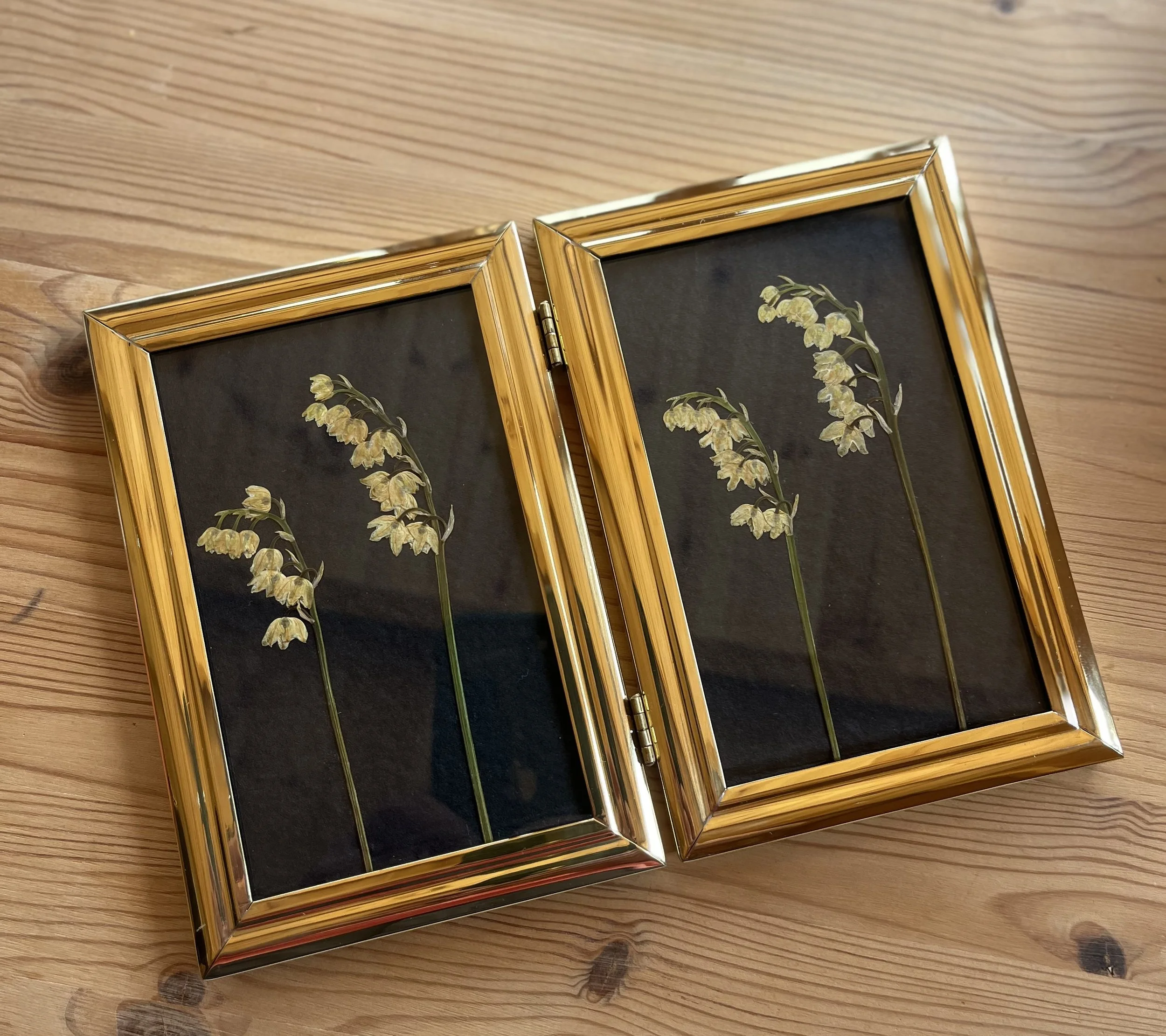 Vintage  pressed flower frame - LiLy of the Valley