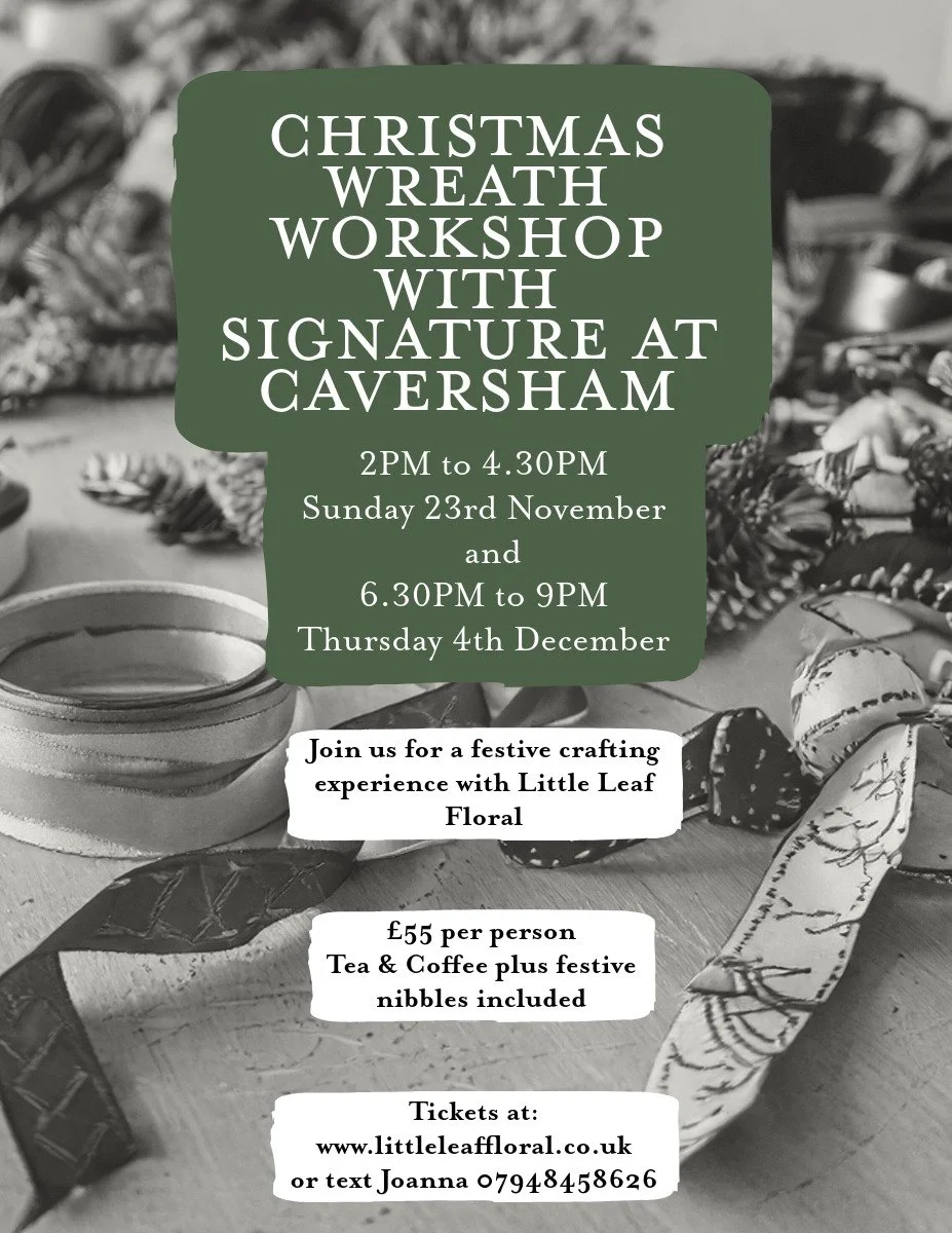 flyer signature home care (1).jpeg