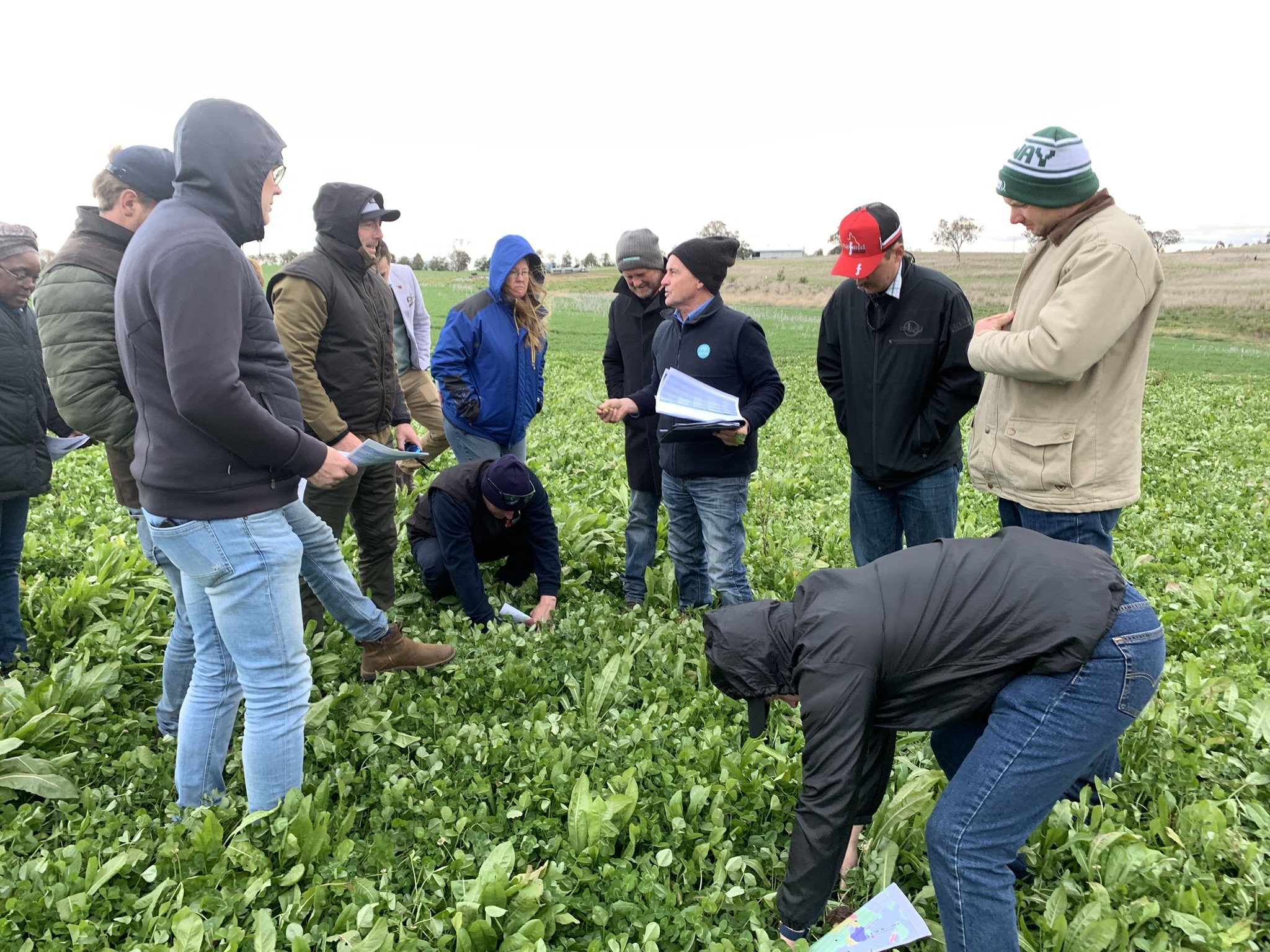Group of people in jackets and hats standing in a field examining plants, with one person squatting to inspect closer.